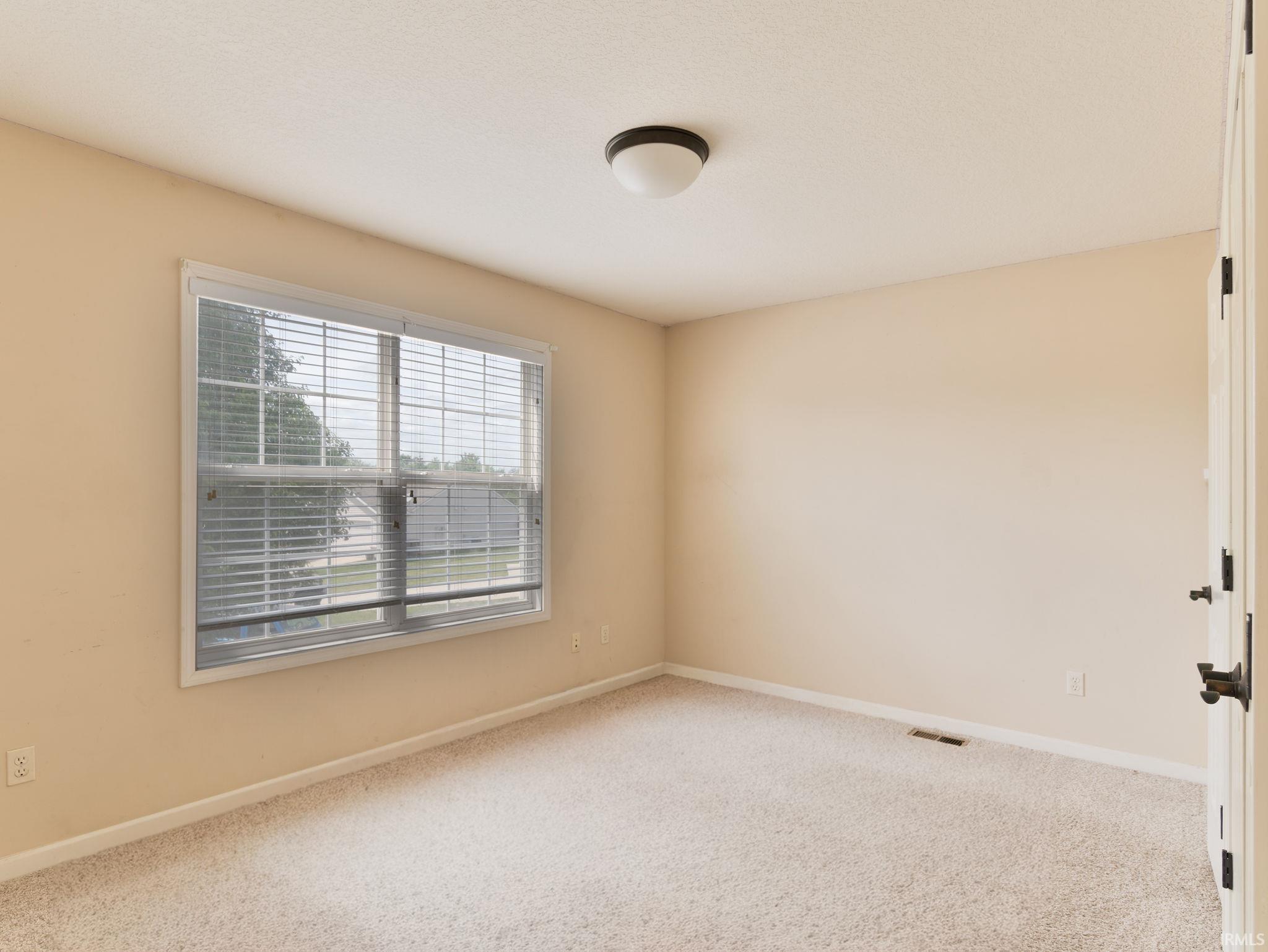 Carpeted interior room featuring a double-hung window with blinds, a ceiling-mounted light fixture, and light-toned wall paint