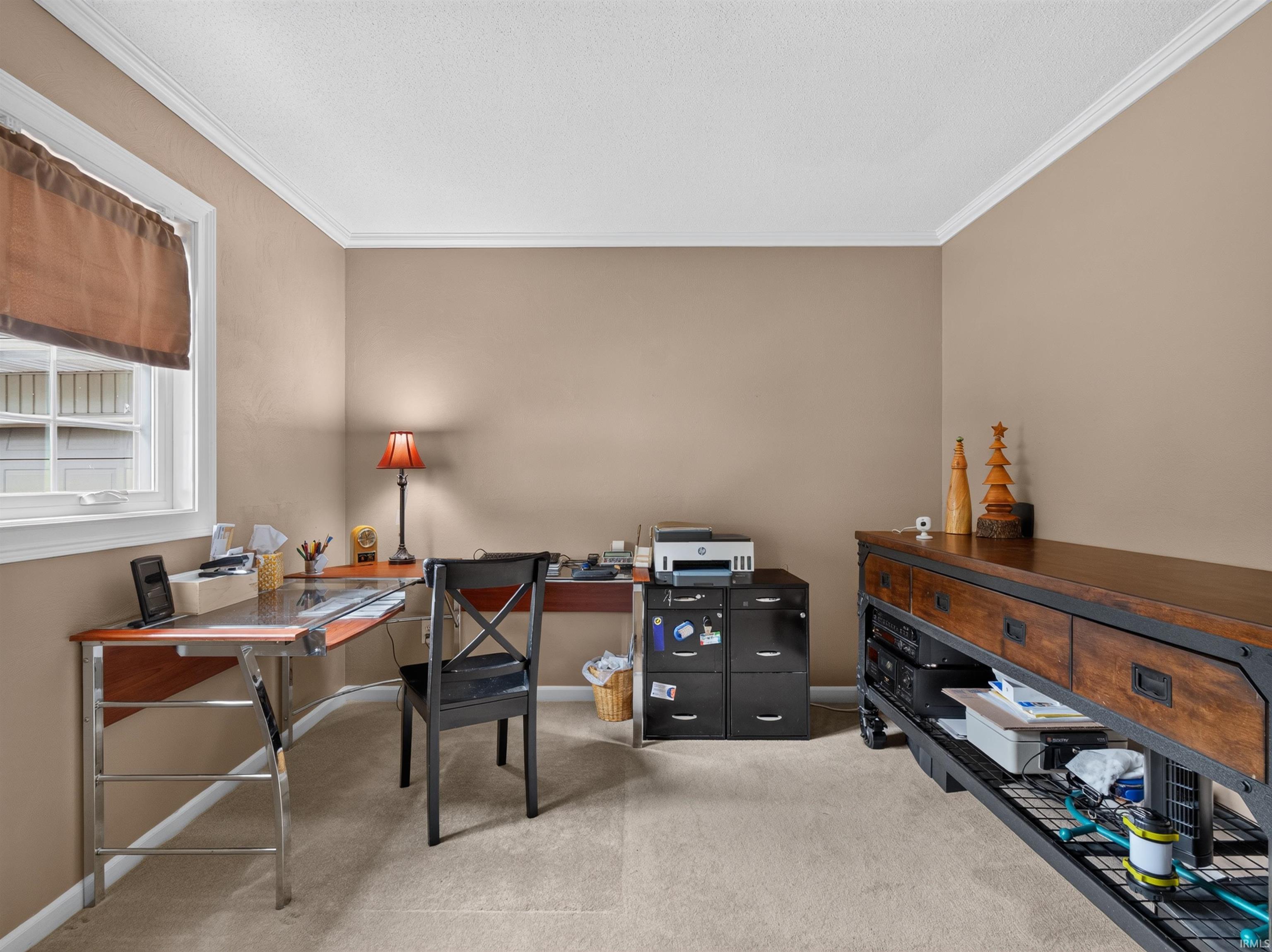 Carpeted room with a white-trimmed window, crown molding, and neutral wall tones