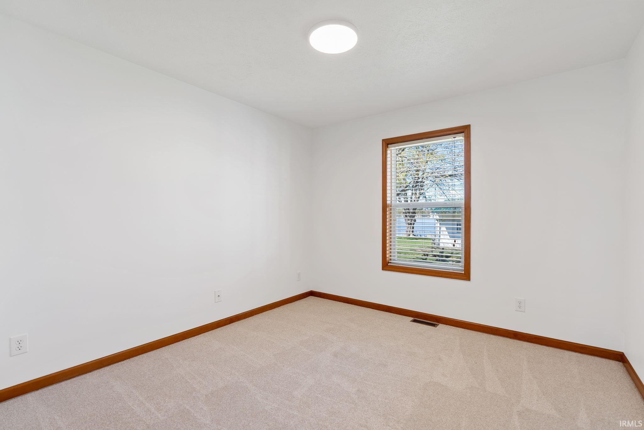 Bright room featuring a window with wood-finish trim, neutral carpeting, white walls, wood-finish baseboards, and a ceiling-mounted light fixture