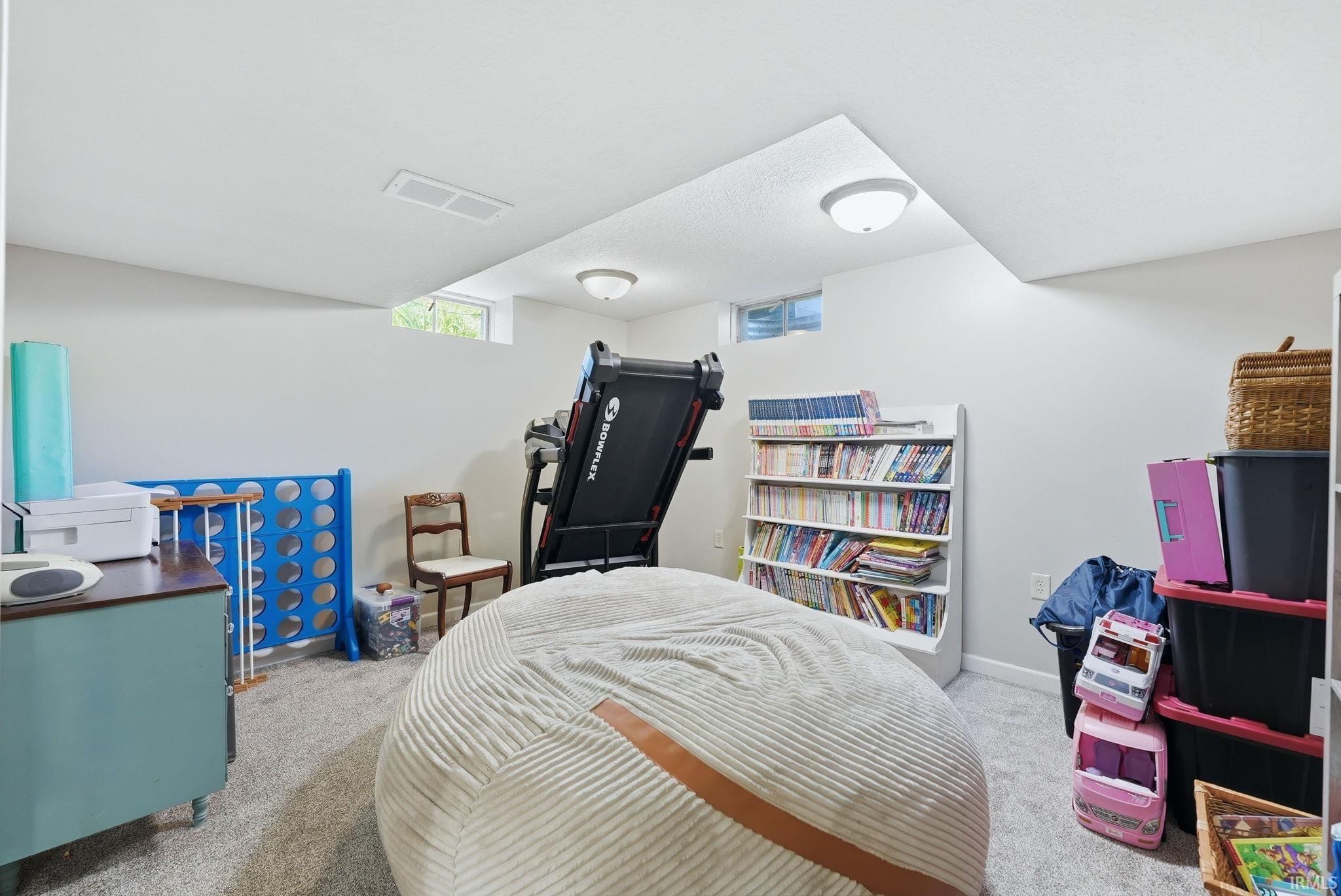 Finished room featuring light gray carpeting, white walls, and bright ceiling lighting