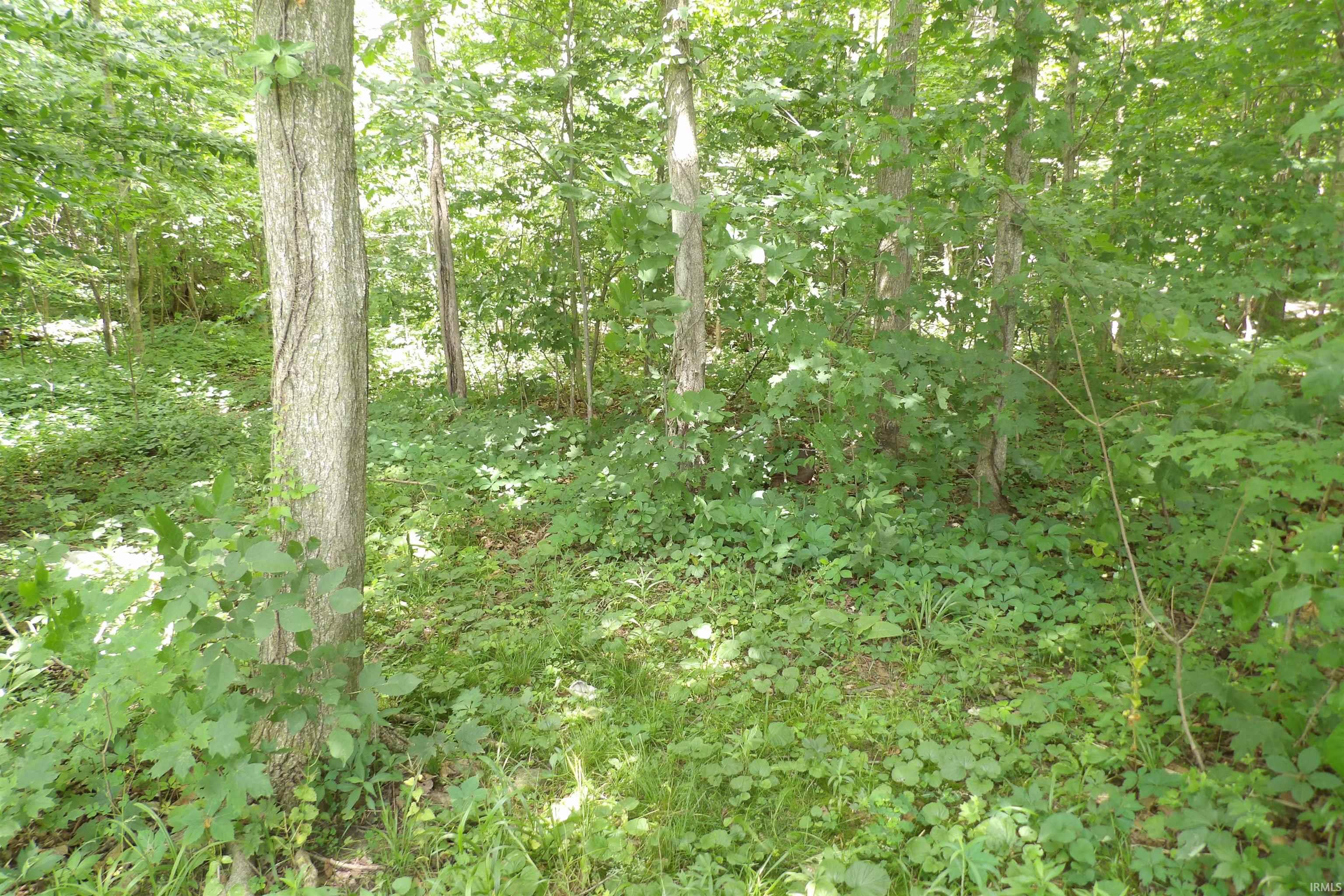 Property Photo 28