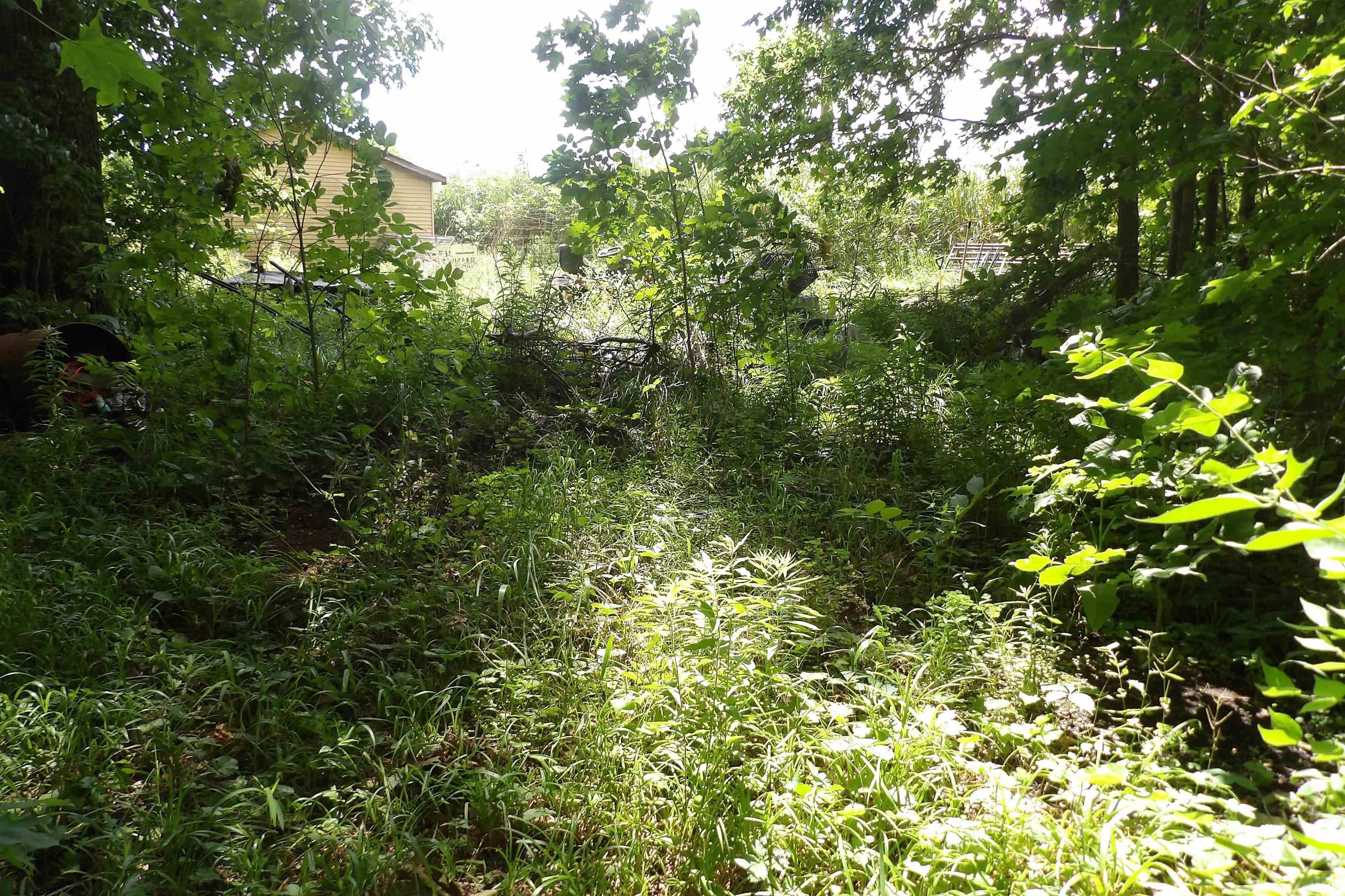 Property Photo 29