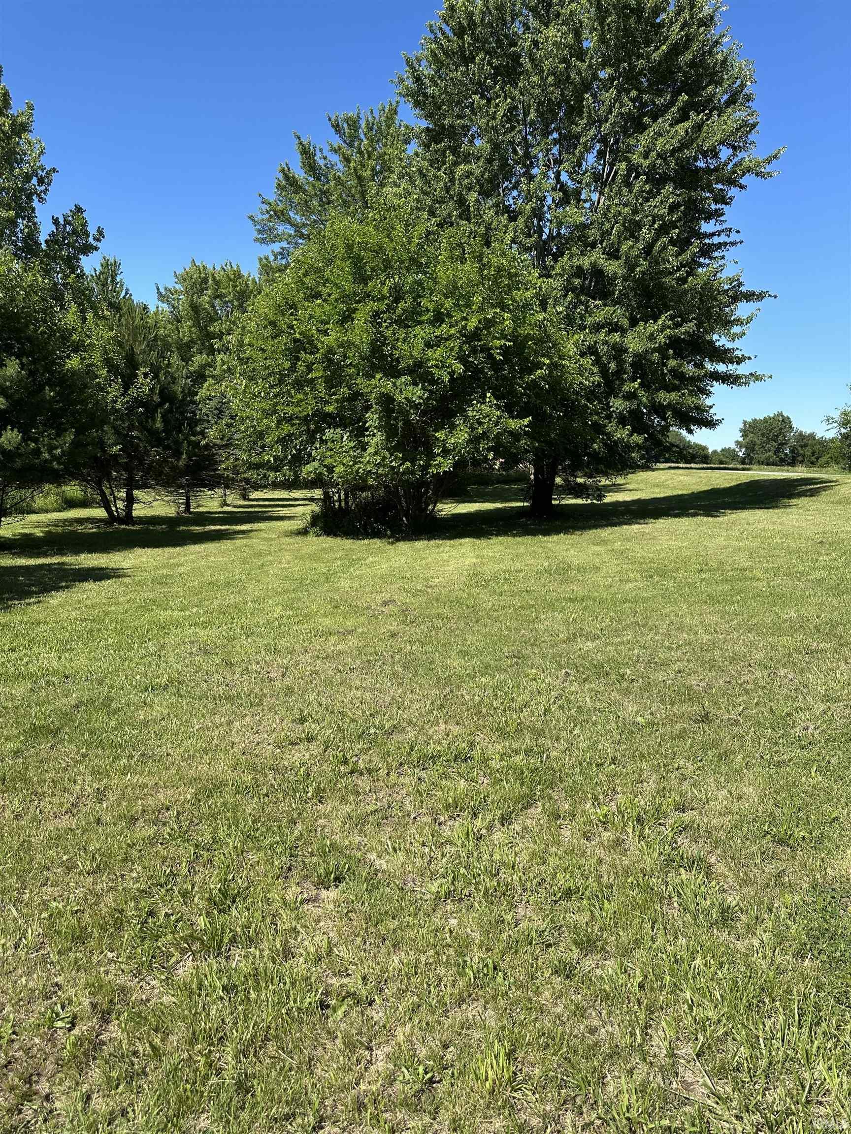 Expansive grassy area with mature deciduous trees under a clear sky