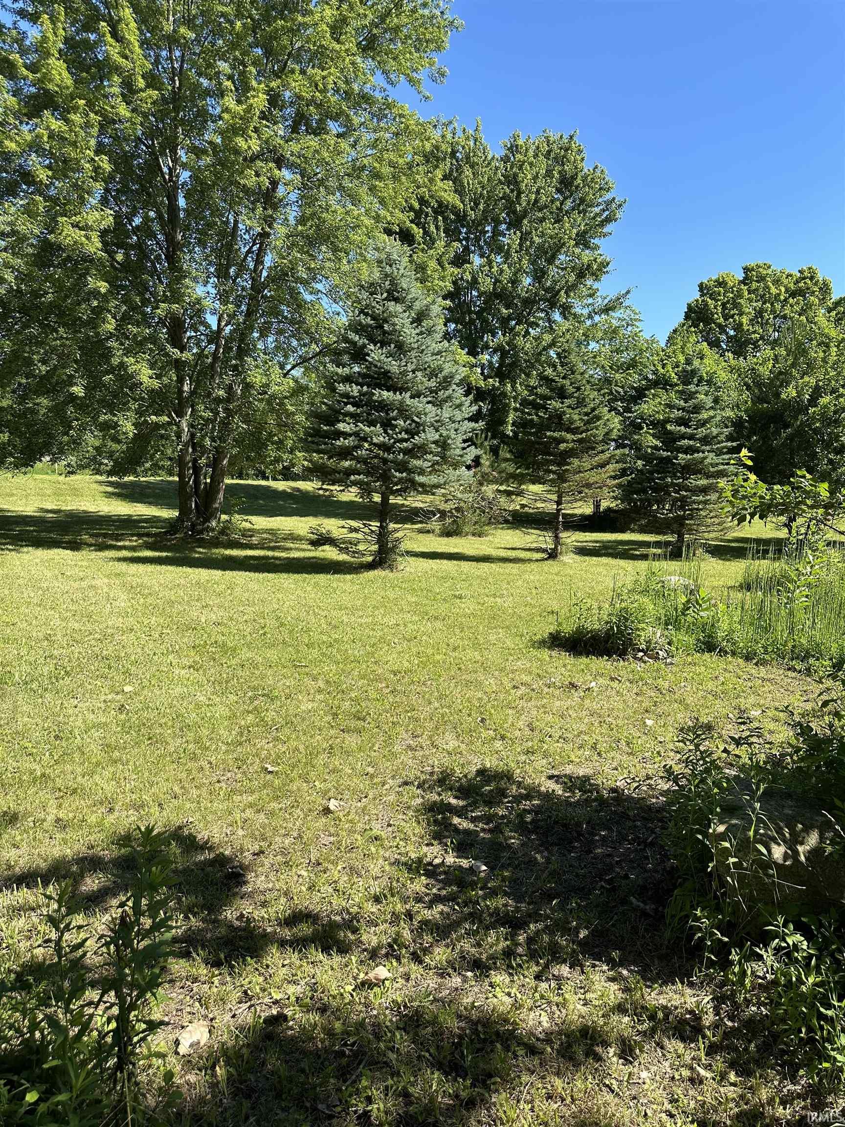 Expansive green lawn with mature trees and evergreen plantings