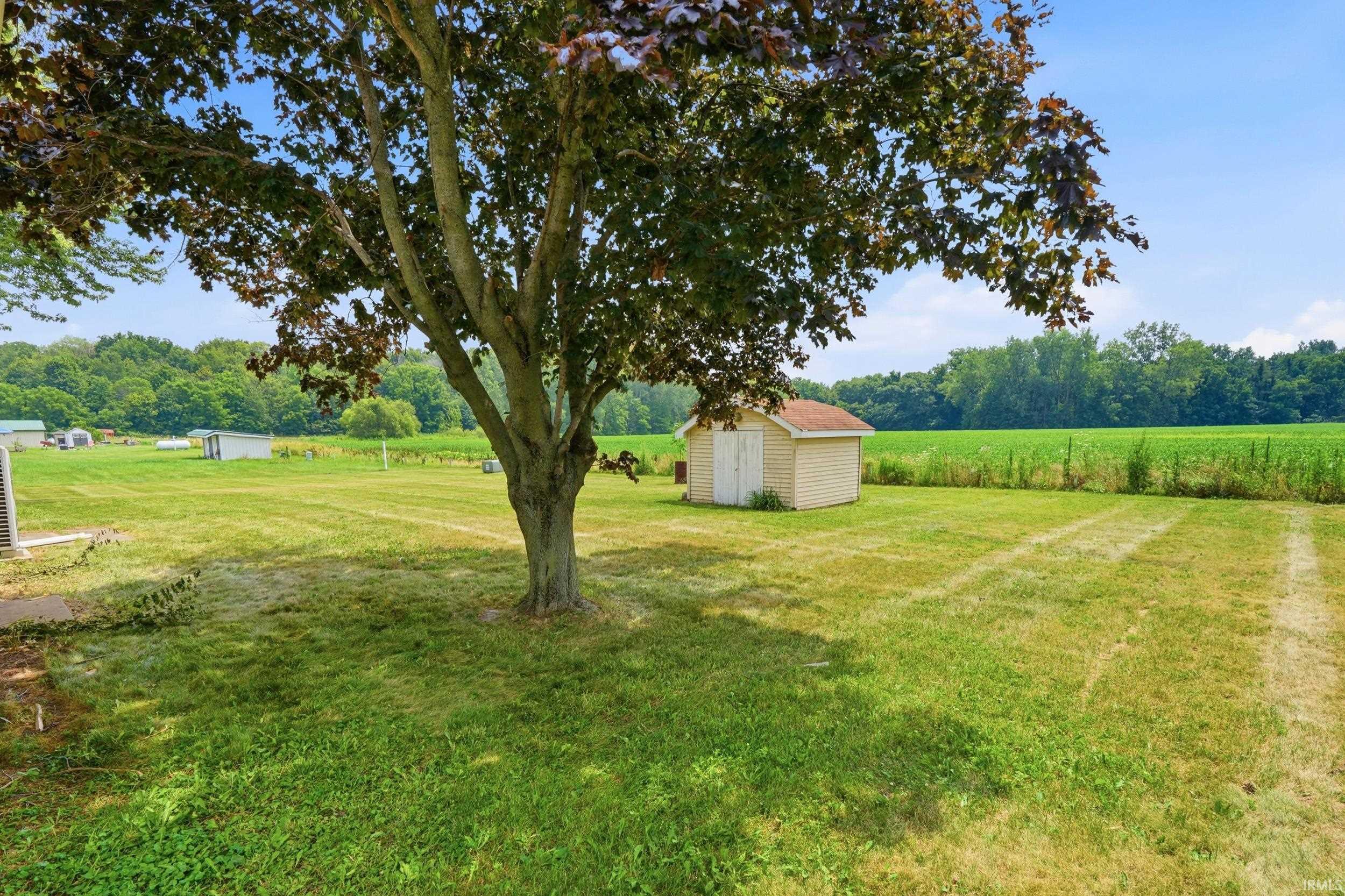 Expansive lawn with mature trees and a detached shed featuring a gabled roof and light-colored siding