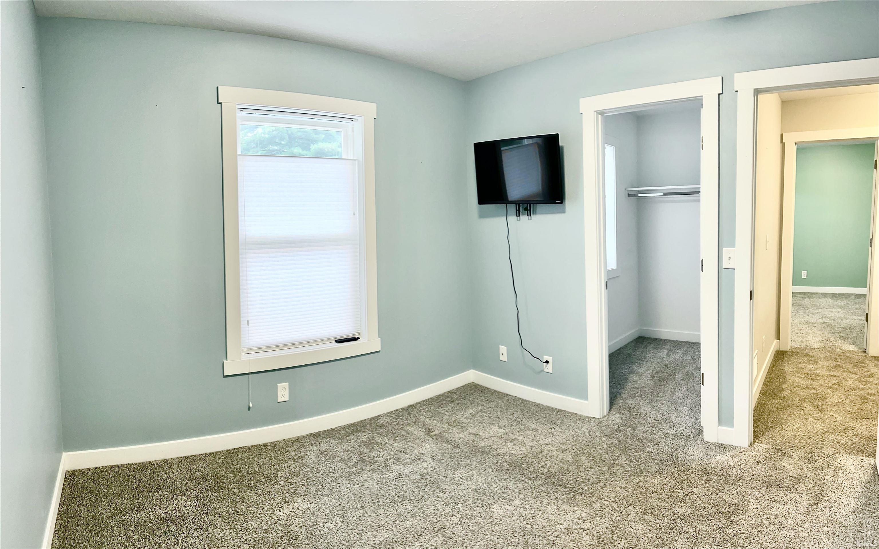 Bright, versatile interior space featuring soft sage-green walls, neutral carpet flooring, and multiple doorway openings