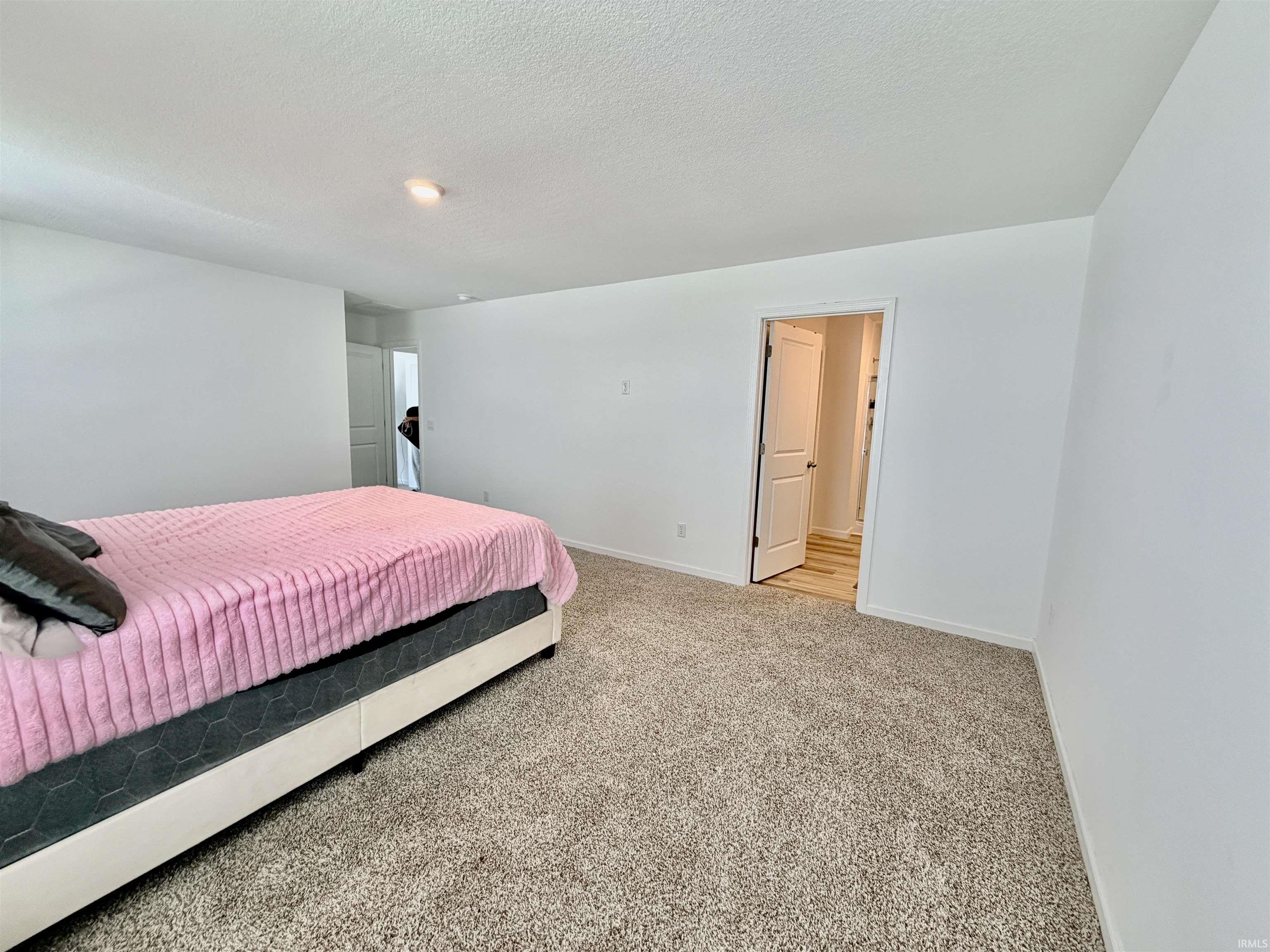 Carpeted room with white walls, a white ceiling, and a ceiling-mounted light fixture