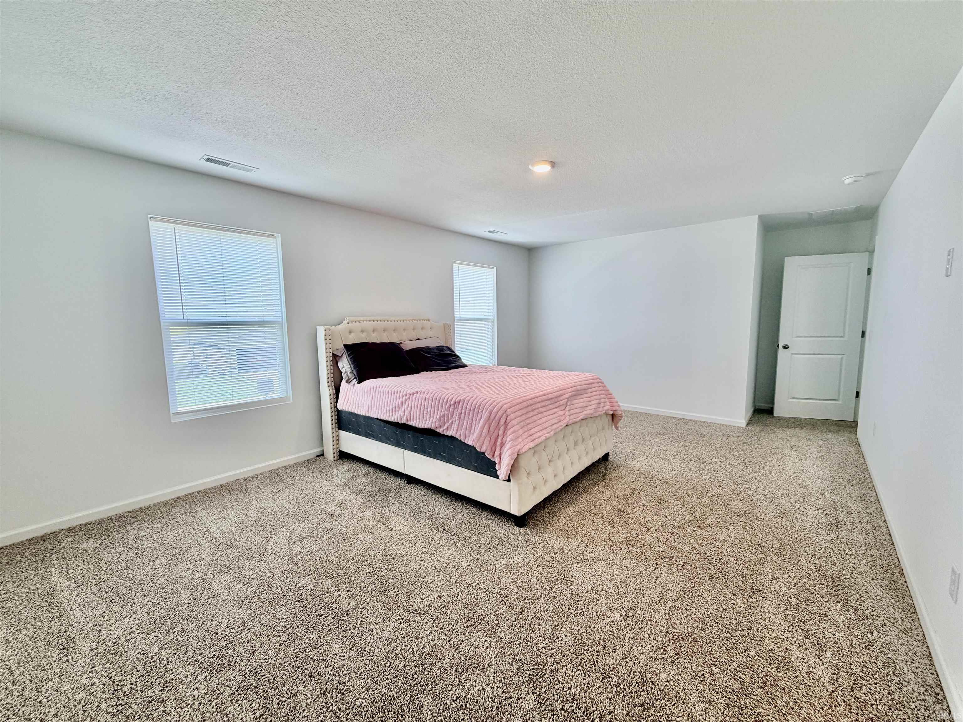 Spacious room featuring neutral carpeting, white walls, and multiple windows with blinds