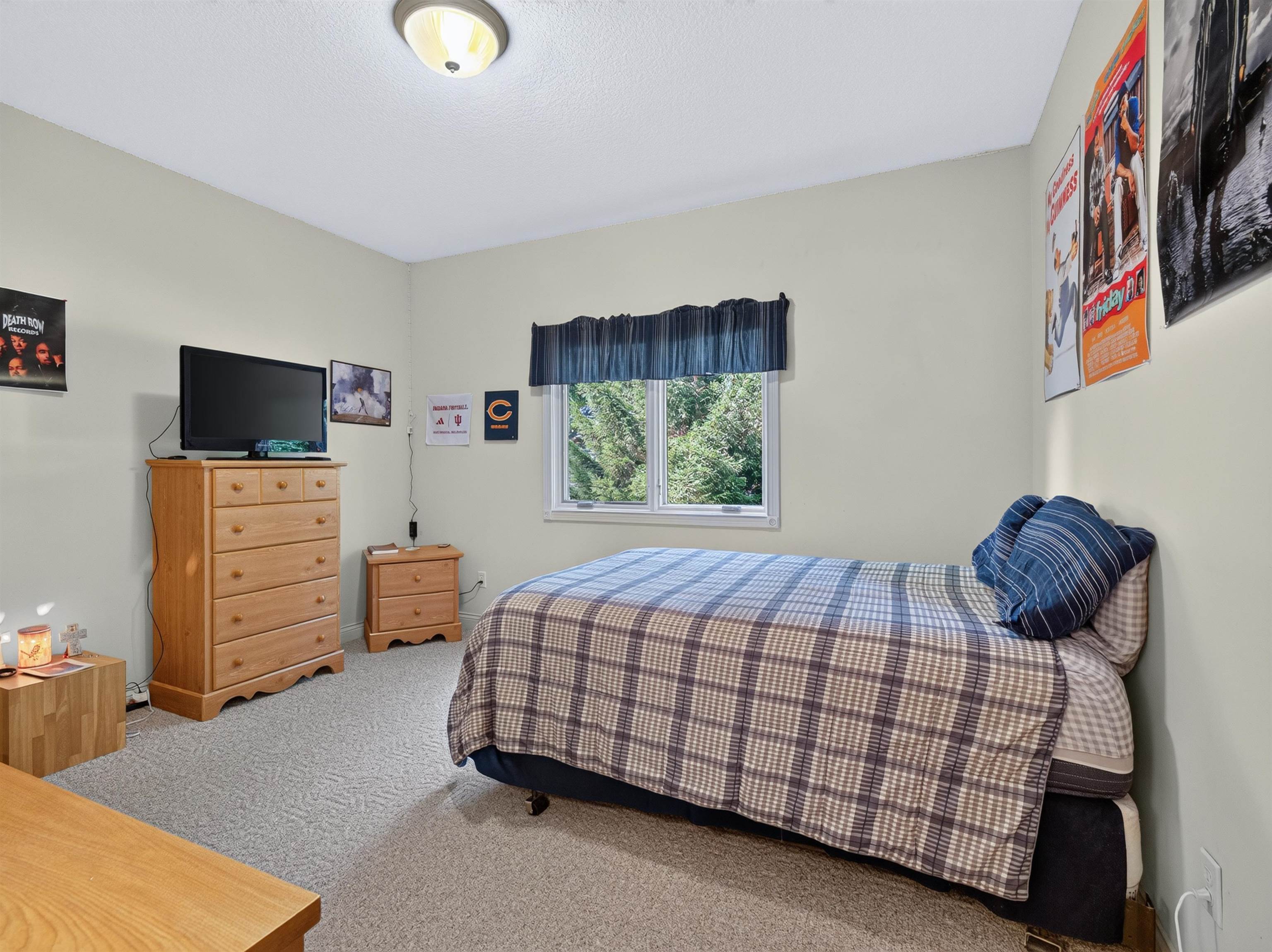 Carpeted room with light-toned walls, featuring a window with exterior tree views, and a flush-mount ceiling light fixture