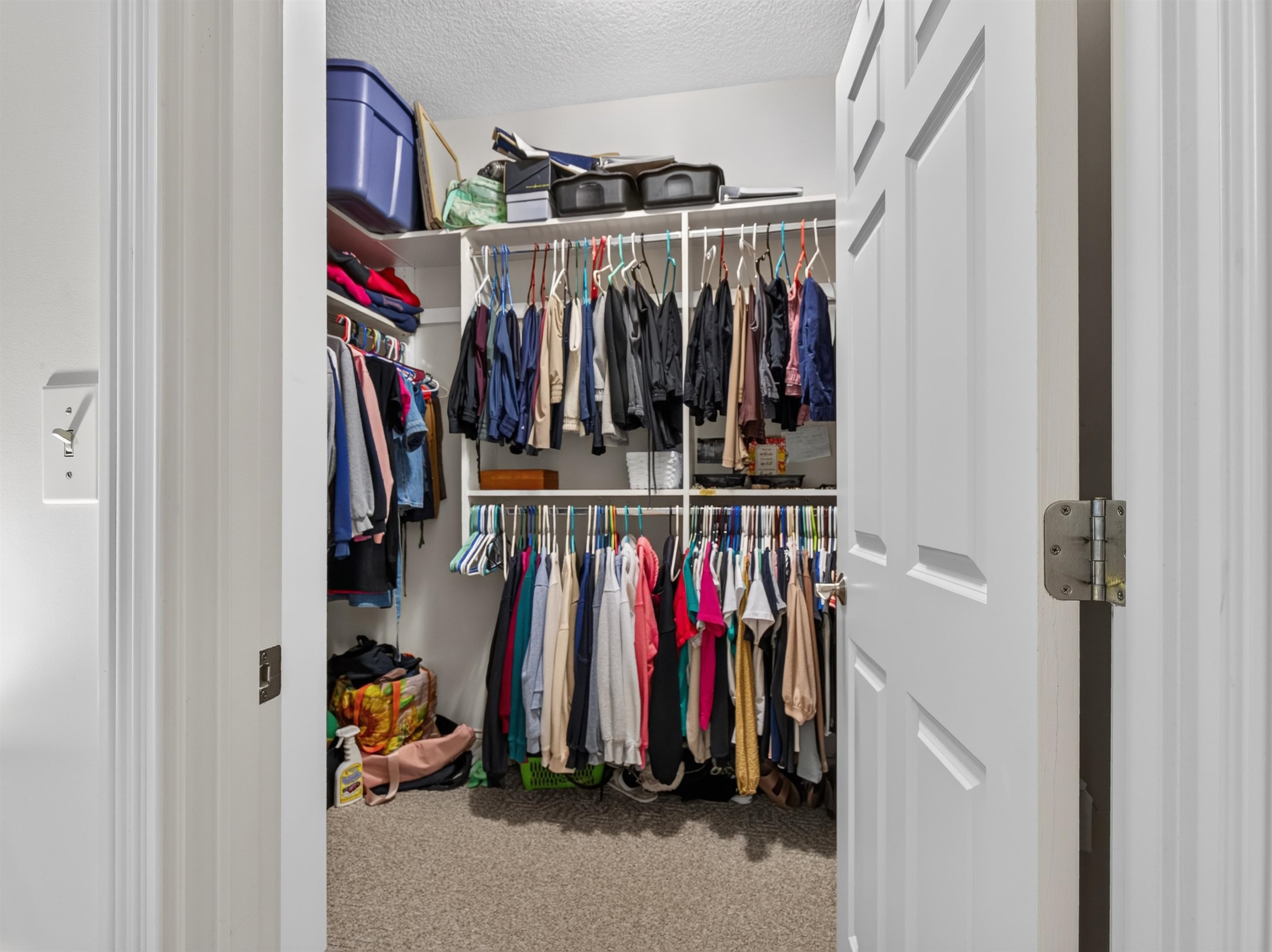 Walk-in closet featuring built-in shelving, multiple hanging rods, and carpet flooring