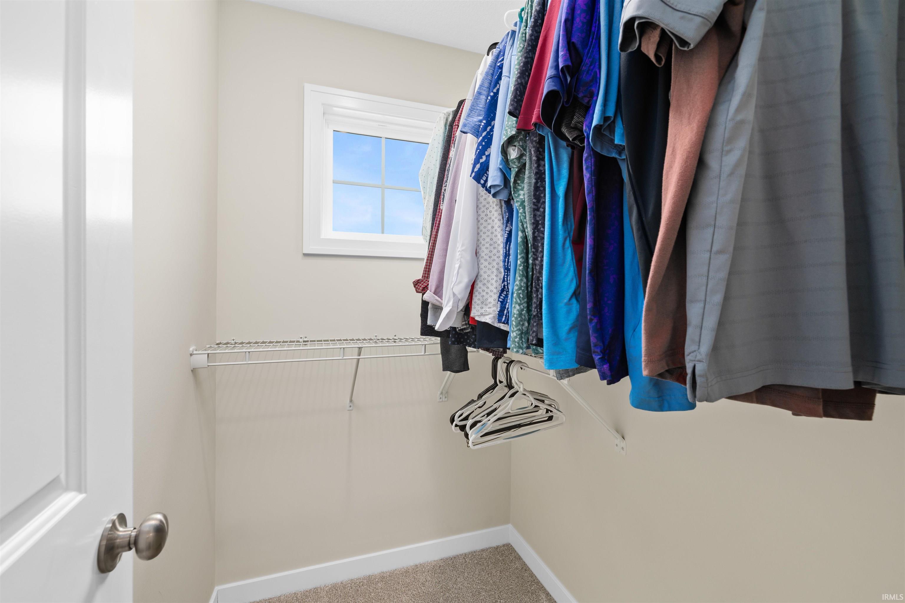 Walk-in closet featuring light beige walls, carpet flooring, a window with white trim, and wire shelving