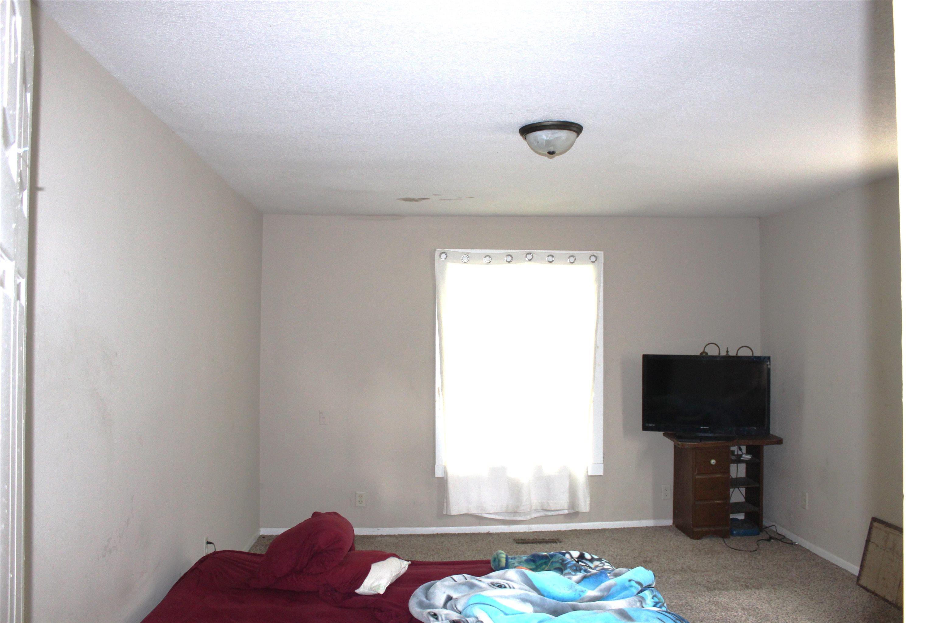 Carpeted room with neutral painted walls and a single window