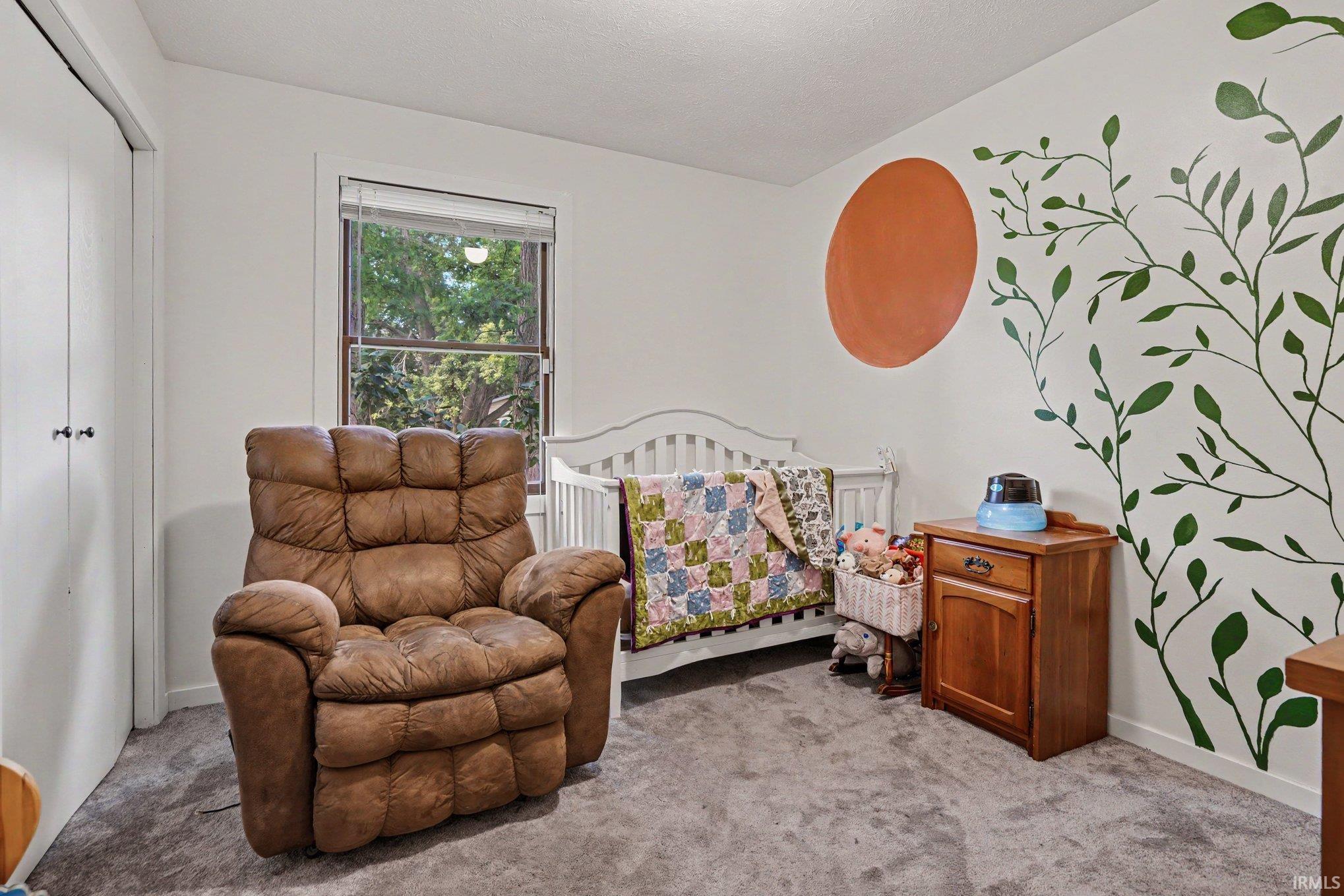 Carpeted room featuring a double-door closet, a single window, and a painted wall mural