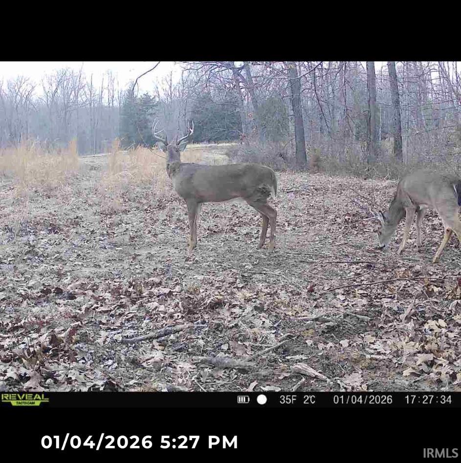 Listing 157