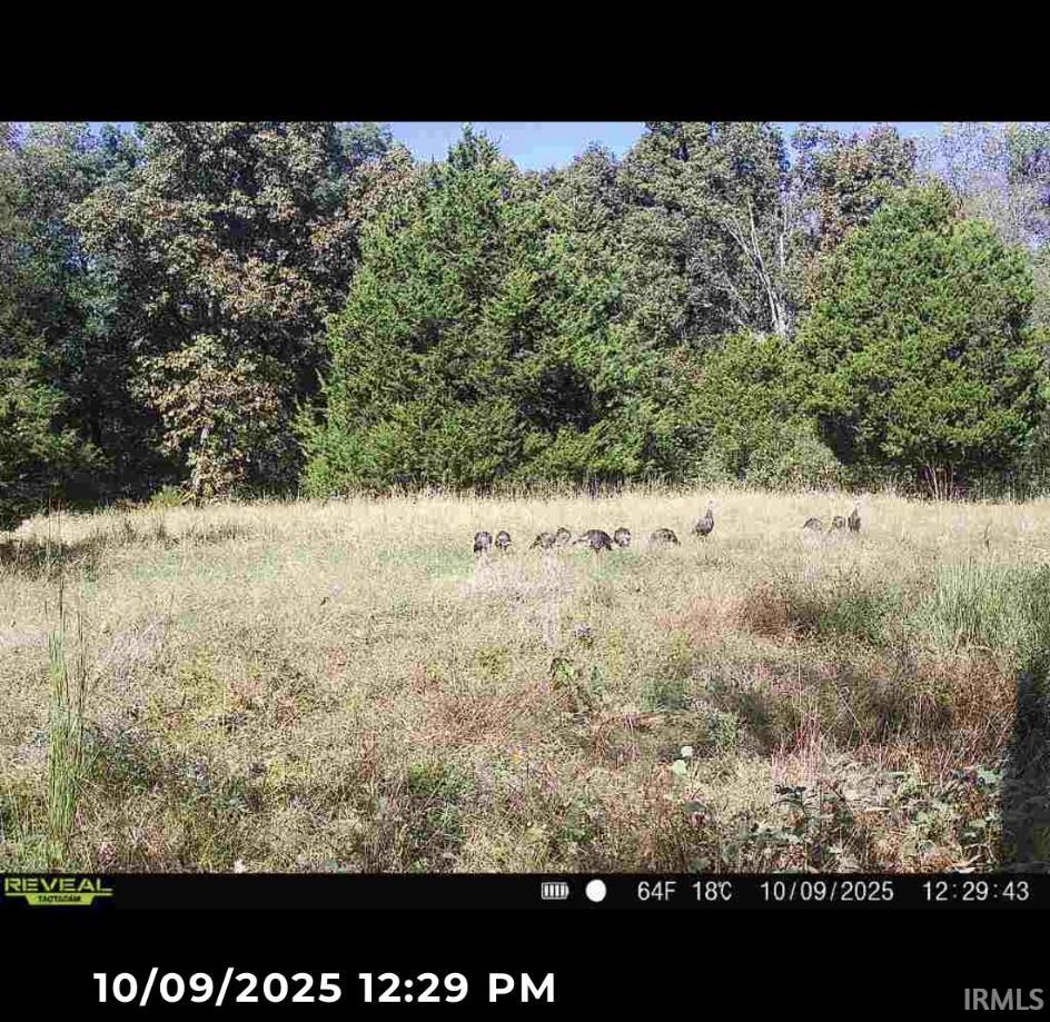 Listing 157