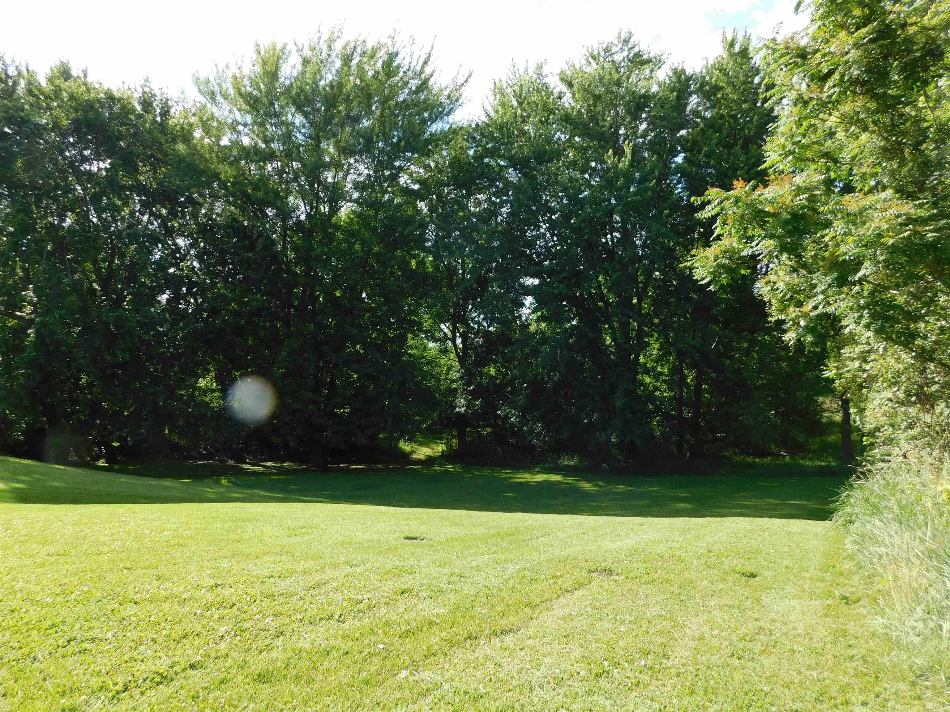 Expansive grassy area bordered by a dense line of mature trees