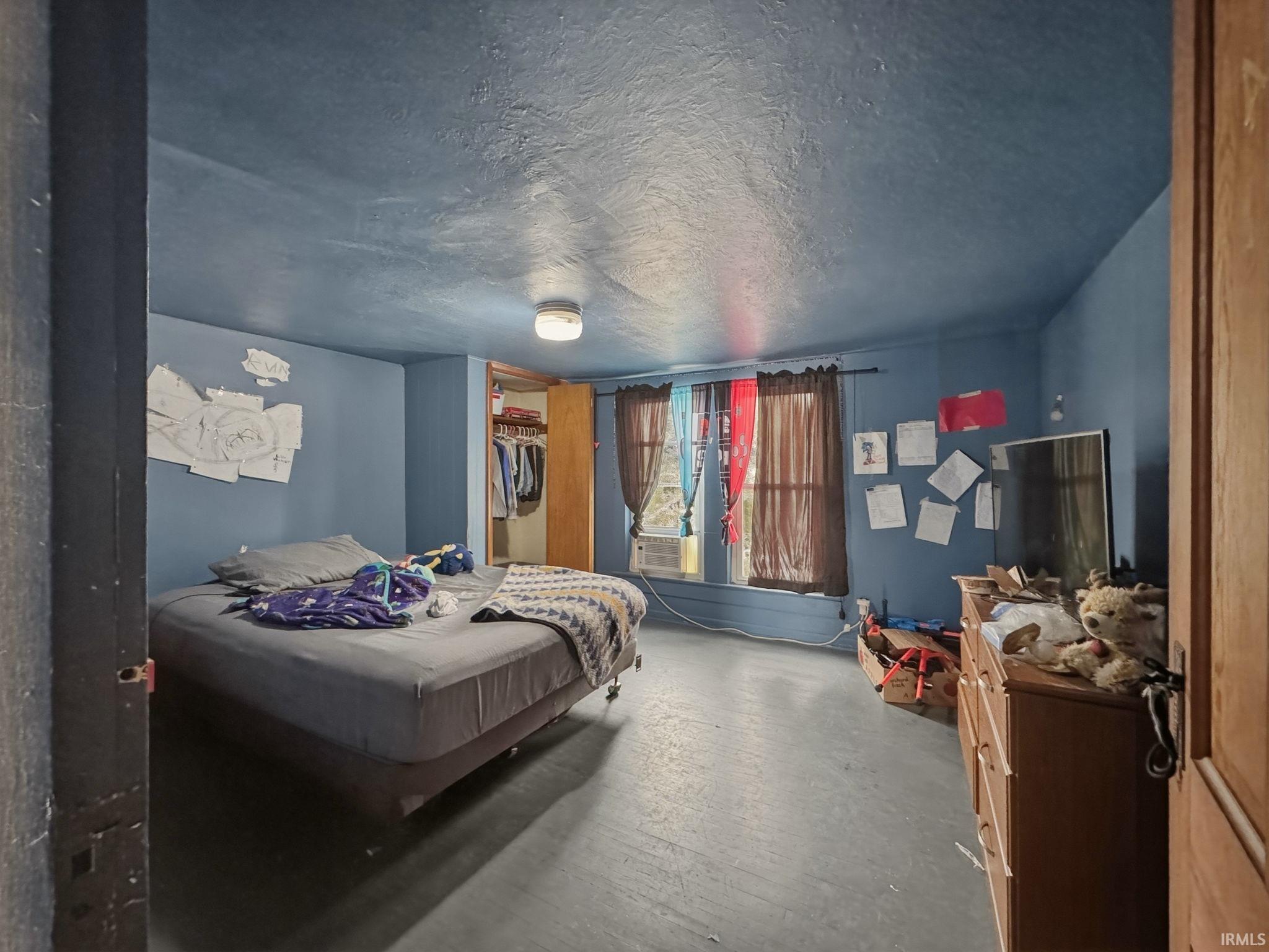 Room featuring blue painted walls and ceiling, a built-in closet with wood-finish door, and a flush-mount ceiling light fixture