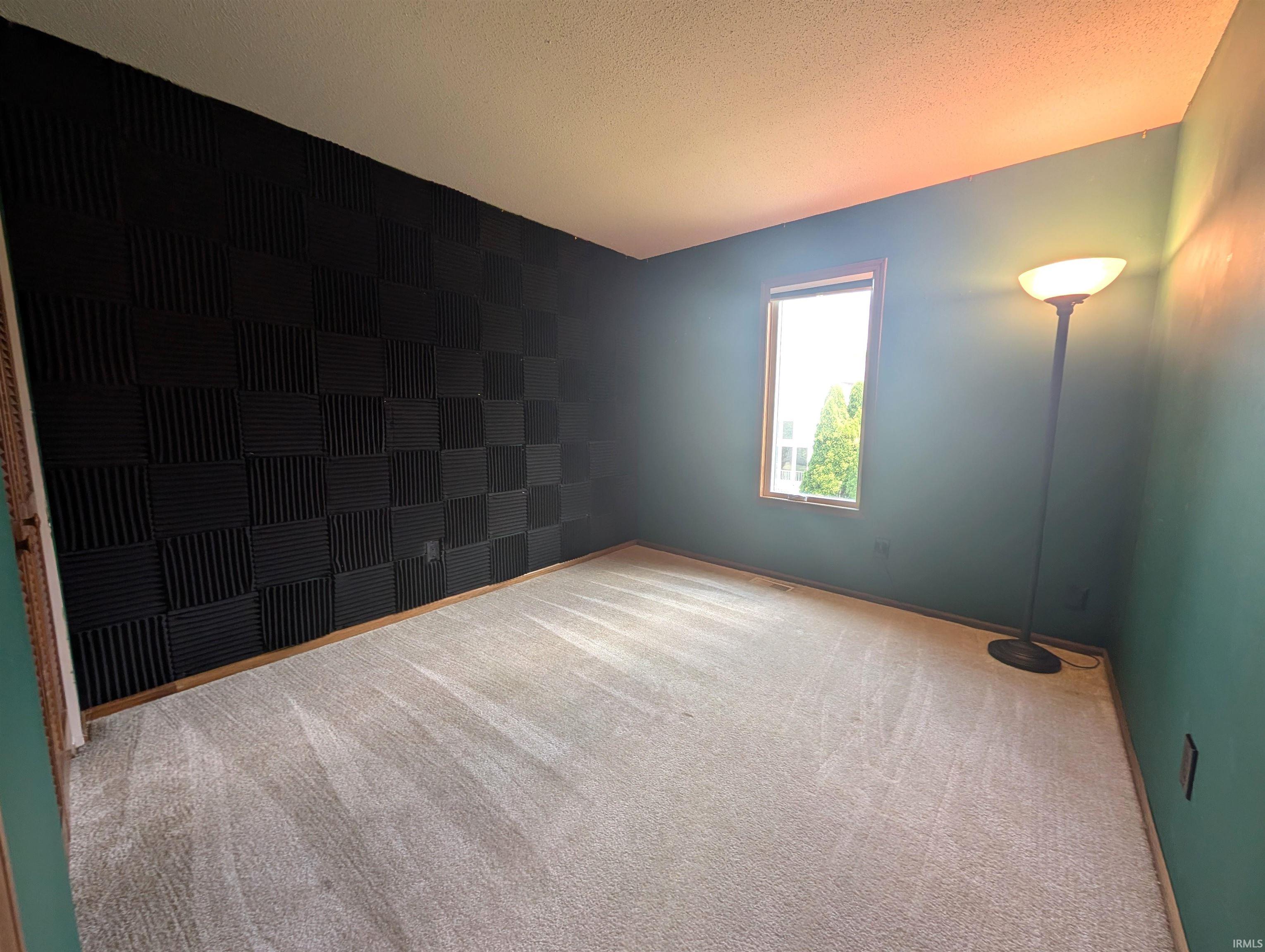Room featuring a textured accent wall with sound-dampening panels, light-toned carpet flooring, and a single window with wood-frame trim