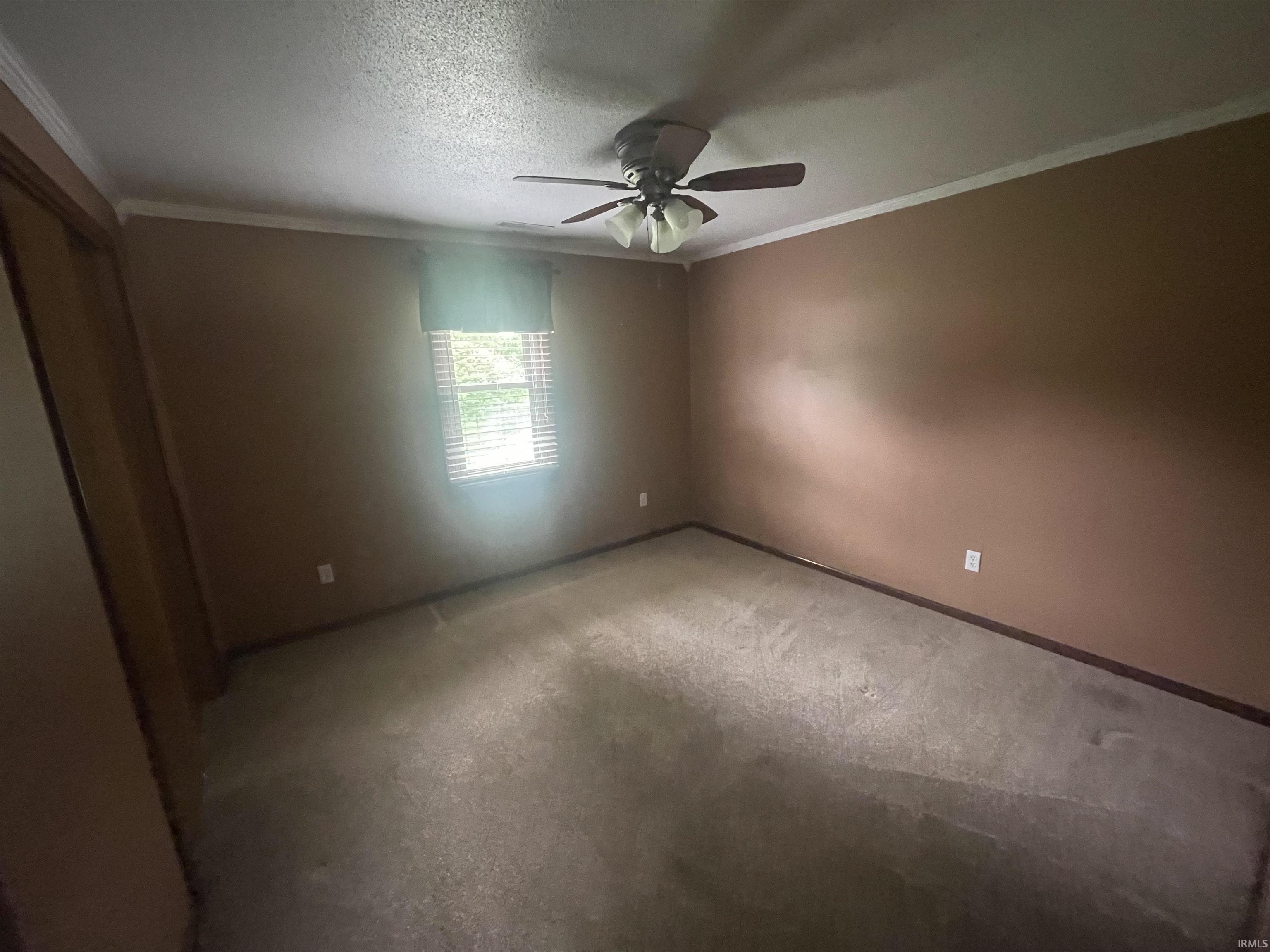 Carpeted interior room featuring a ceiling fan with integrated lighting, a single window with blinds, and painted walls