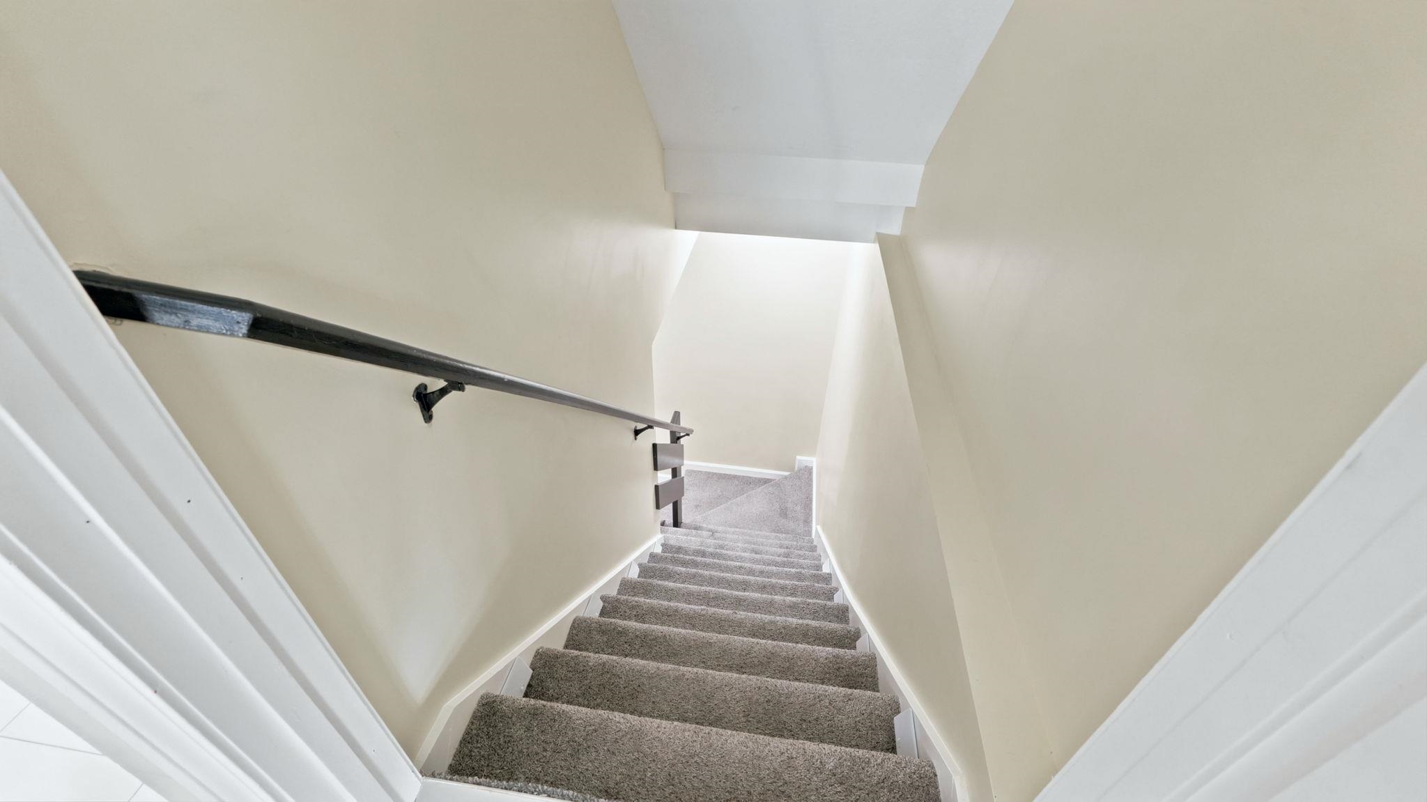 Carpeted staircase featuring a dark handrail, neutral wall color, and white trim