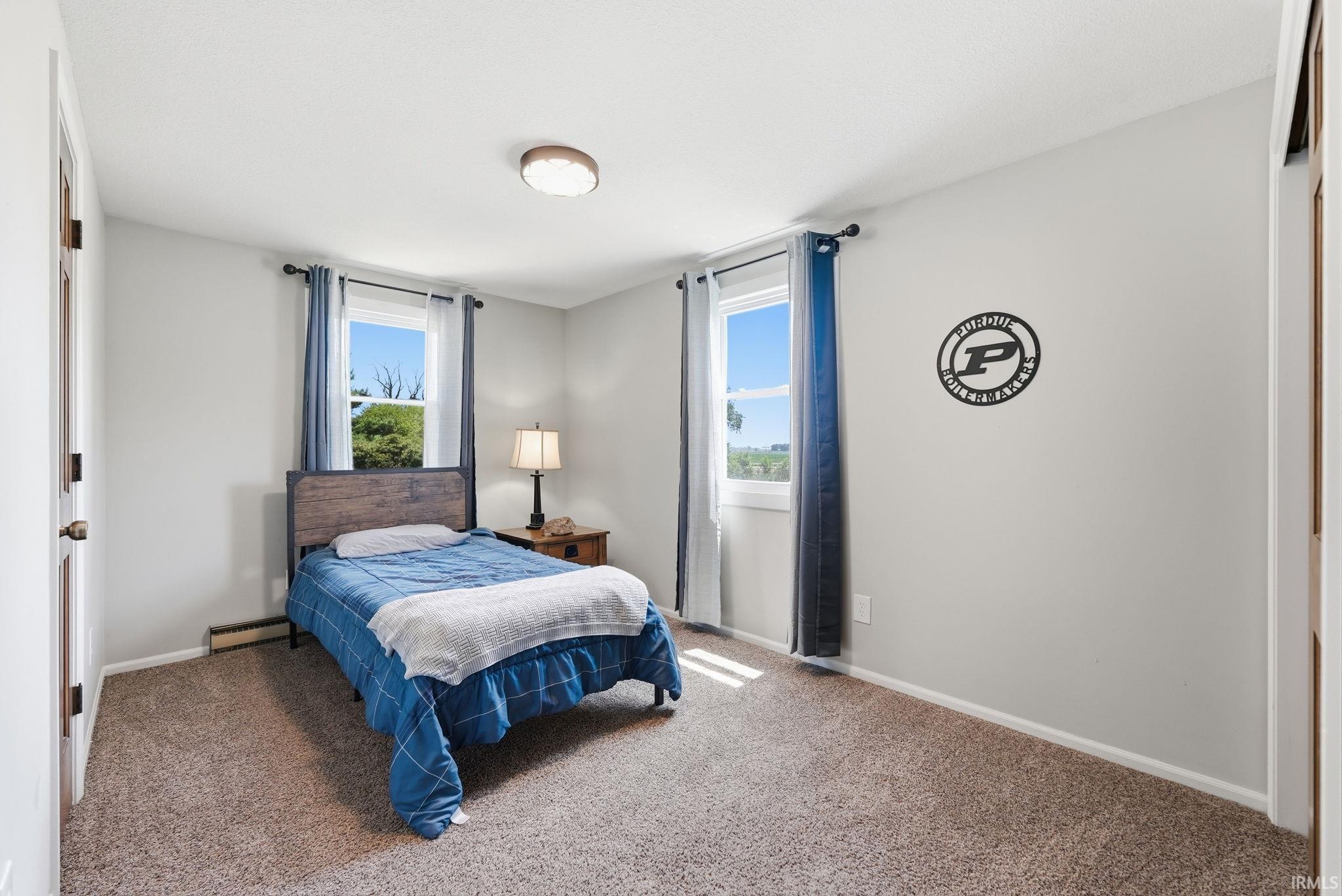 Carpeted room featuring light gray walls, white trim, and two windows with white frames