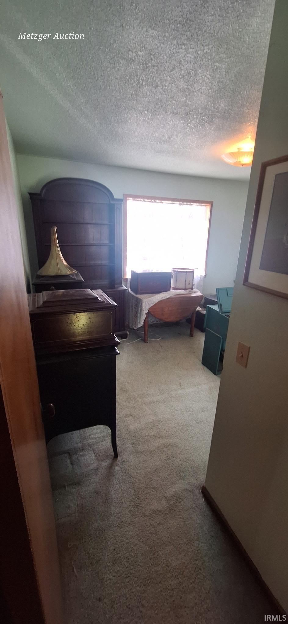 Interior room featuring a large window with wood trim, wall-to-wall carpeting, and a ceiling-mounted light fixture