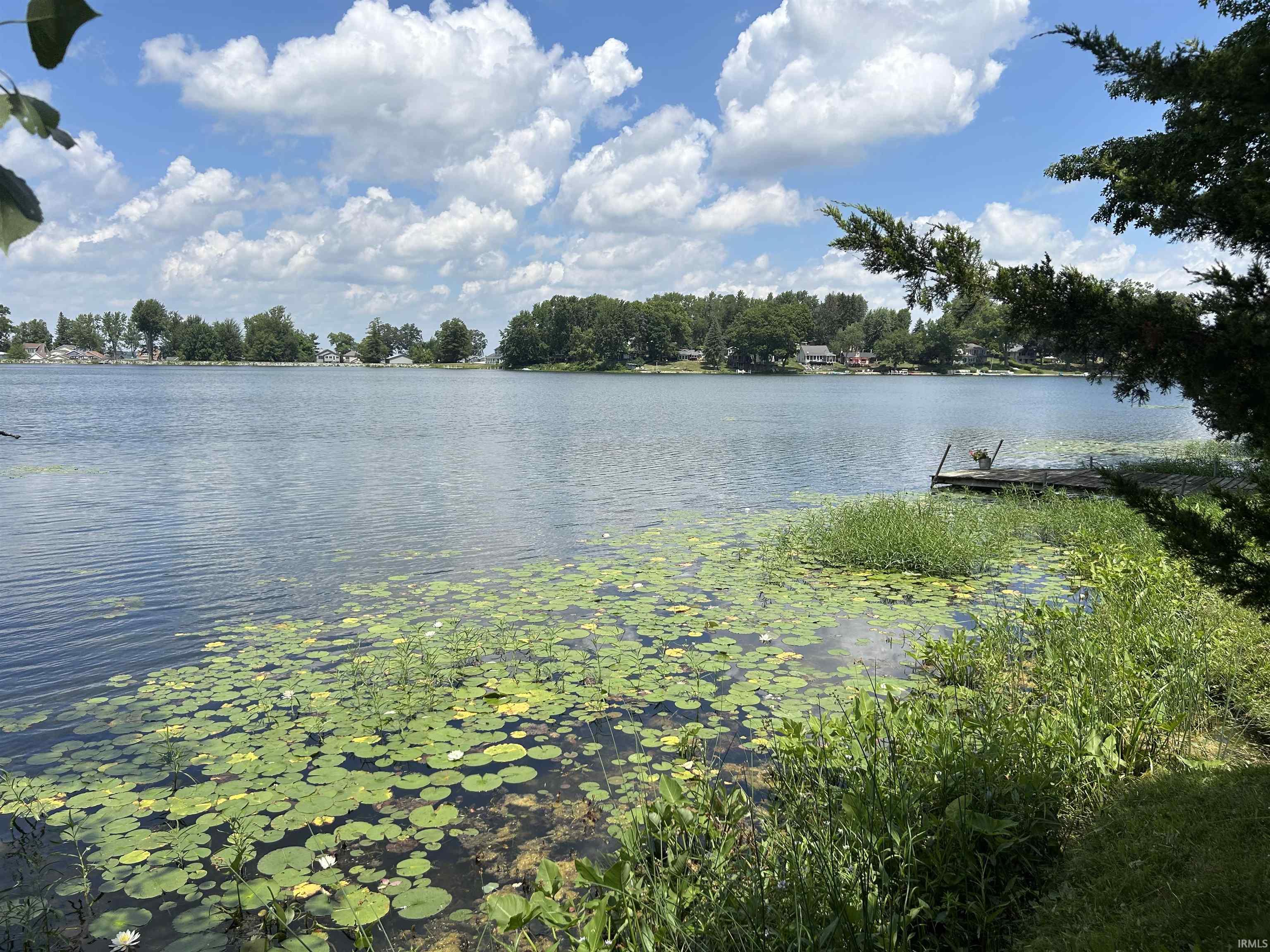 Waterfront property featuring a private dock, expansive water frontage with lily pads, and mature surrounding foliage