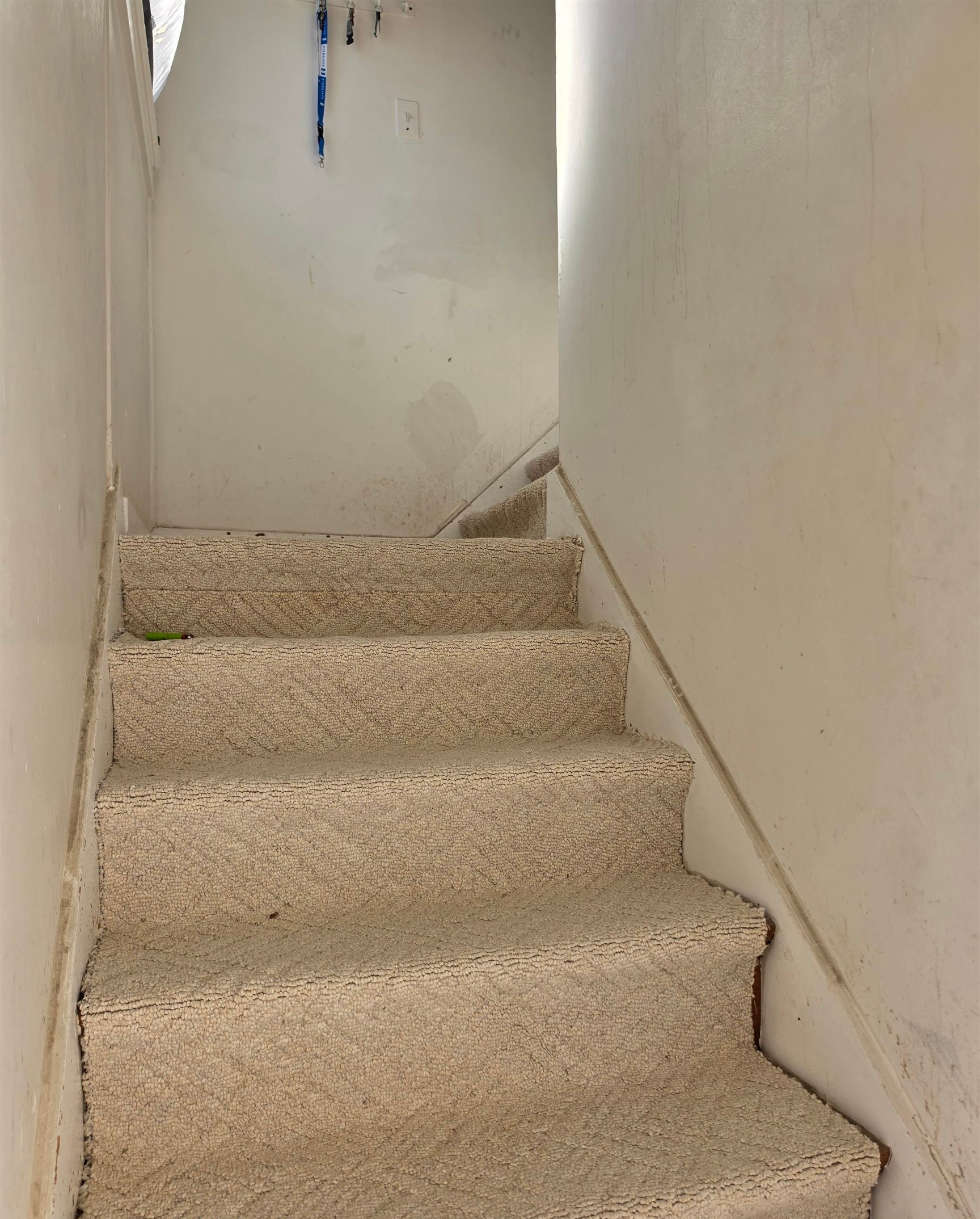 Photo 13 of 3202 Central Drive