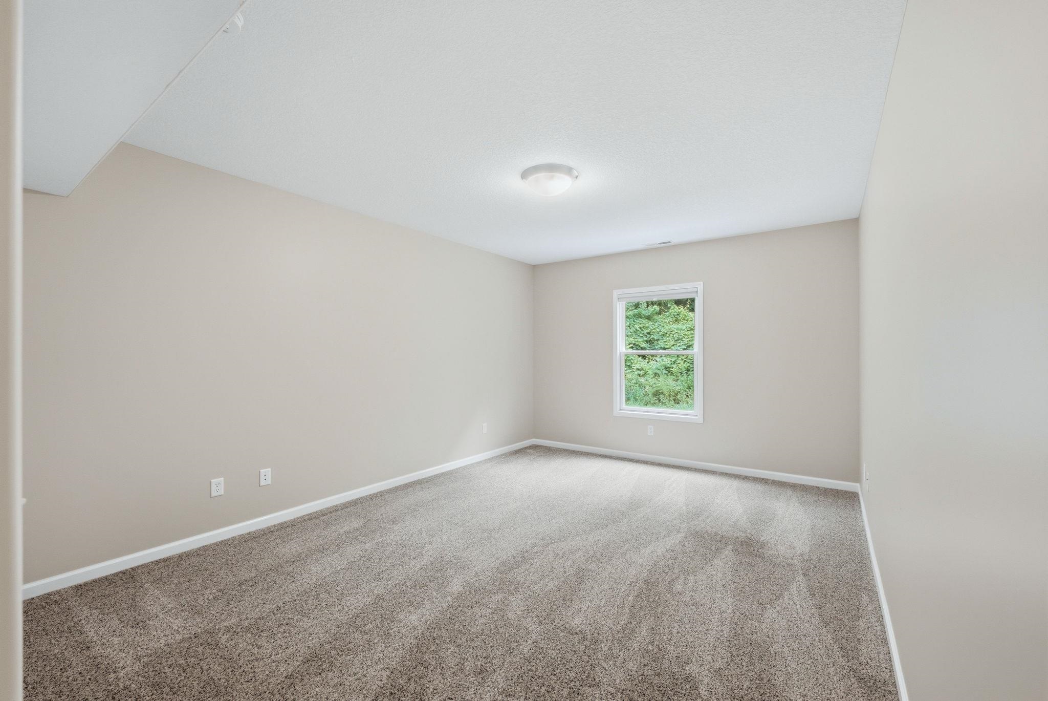 Carpeted room with neutral wall tones and a ceiling-mounted light fixture