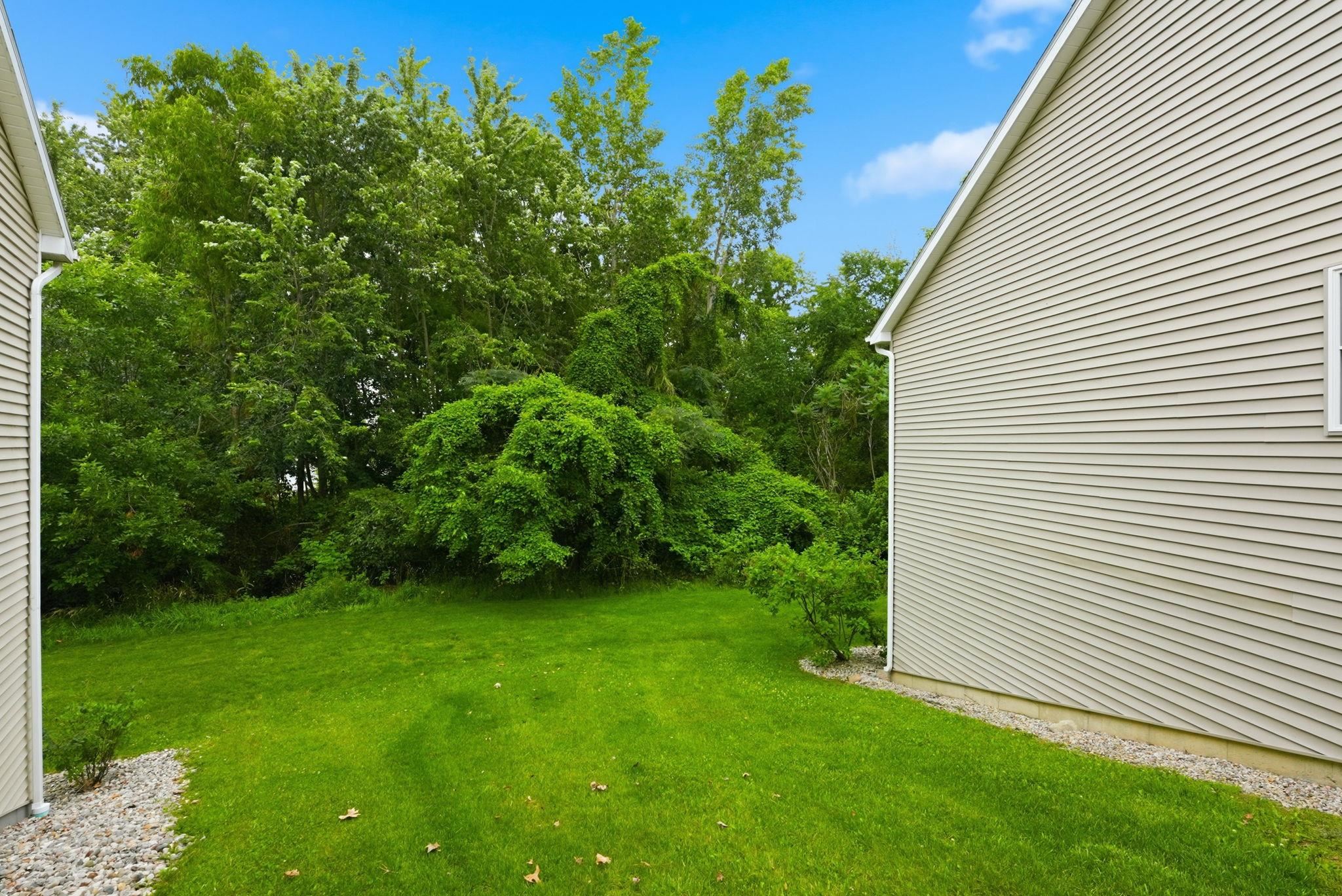 Expansive grassy area bordered by dense mature foliage