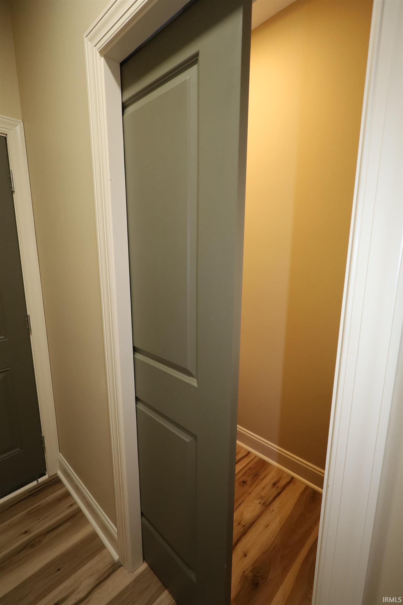 Interior space featuring a paneled pocket door in a muted green finish, white trim, and wood-finish flooring