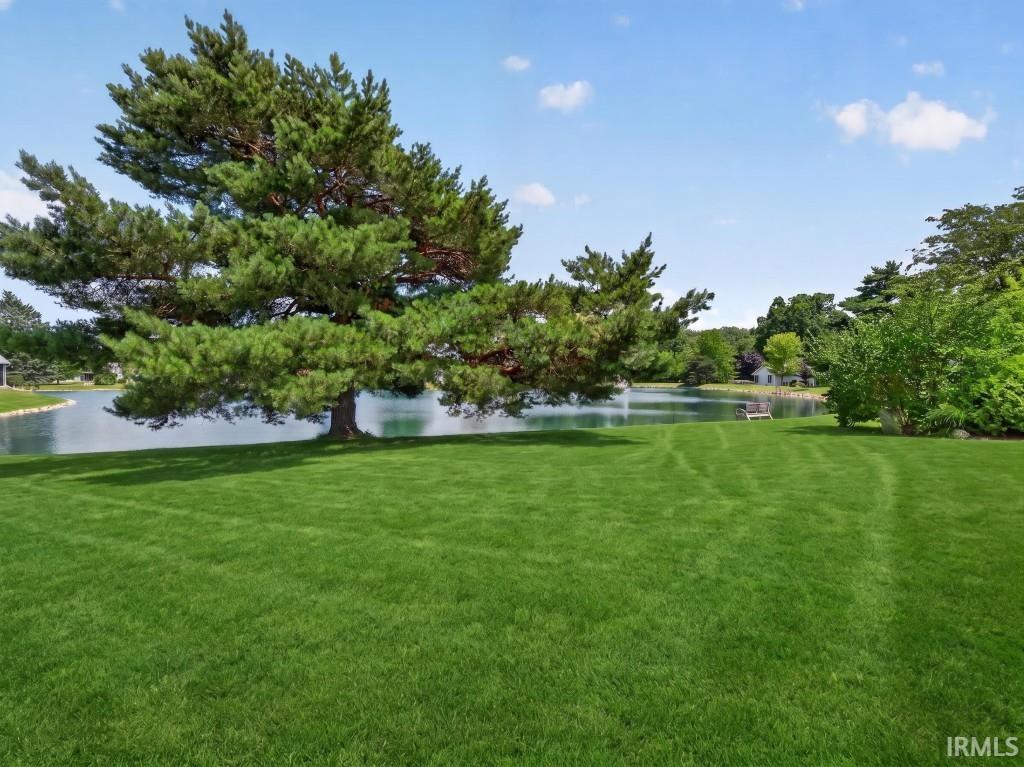 Expansive green lawn with a mature pine tree and tranquil pond