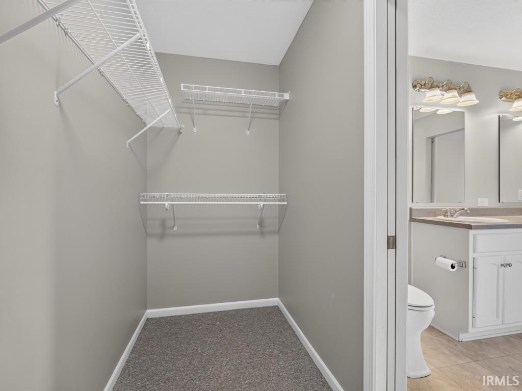 Walk-in closet featuring wire shelving, gray carpet flooring, and neutral wall paint