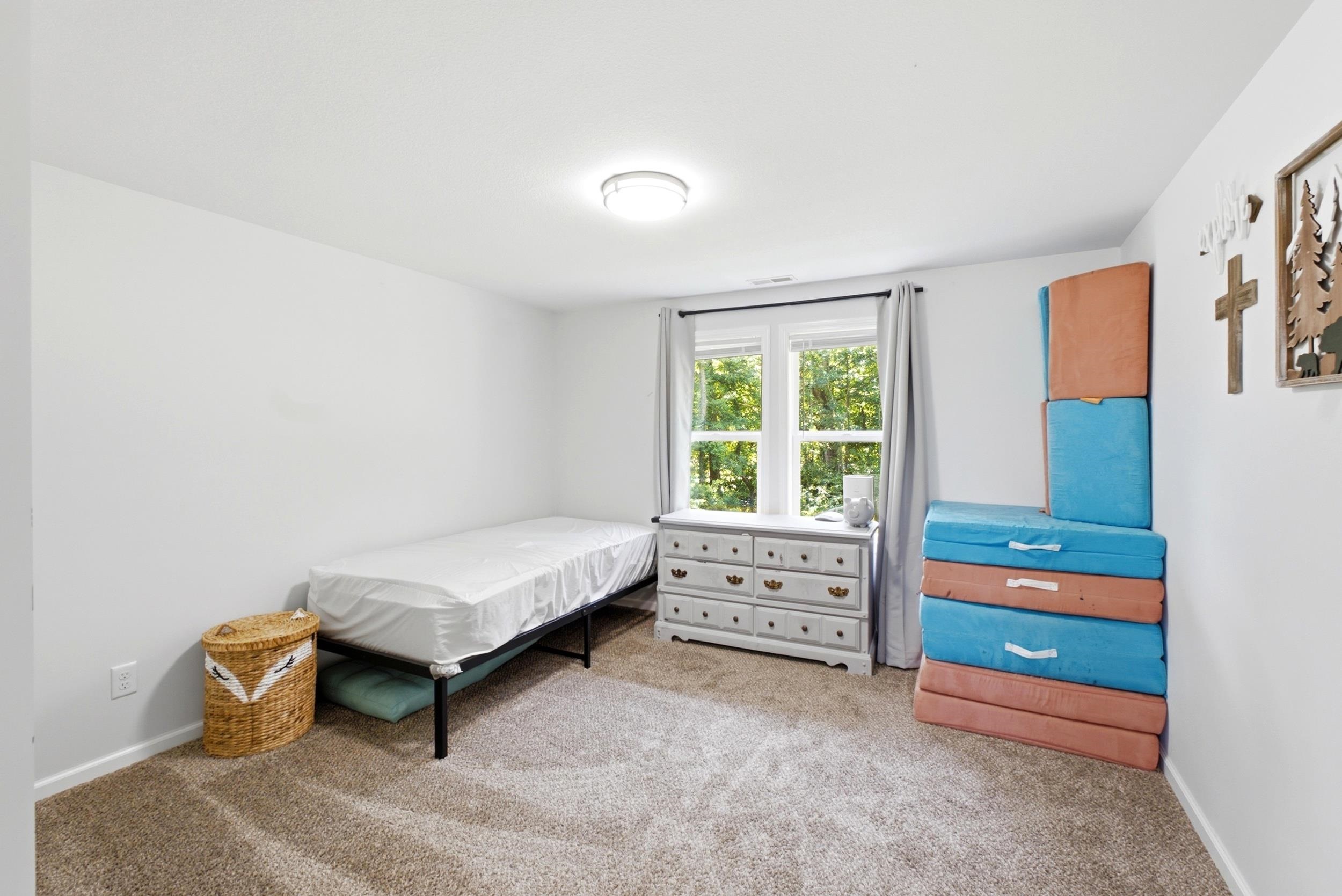 Carpeted room featuring light-colored walls and a window with outdoor tree scenery