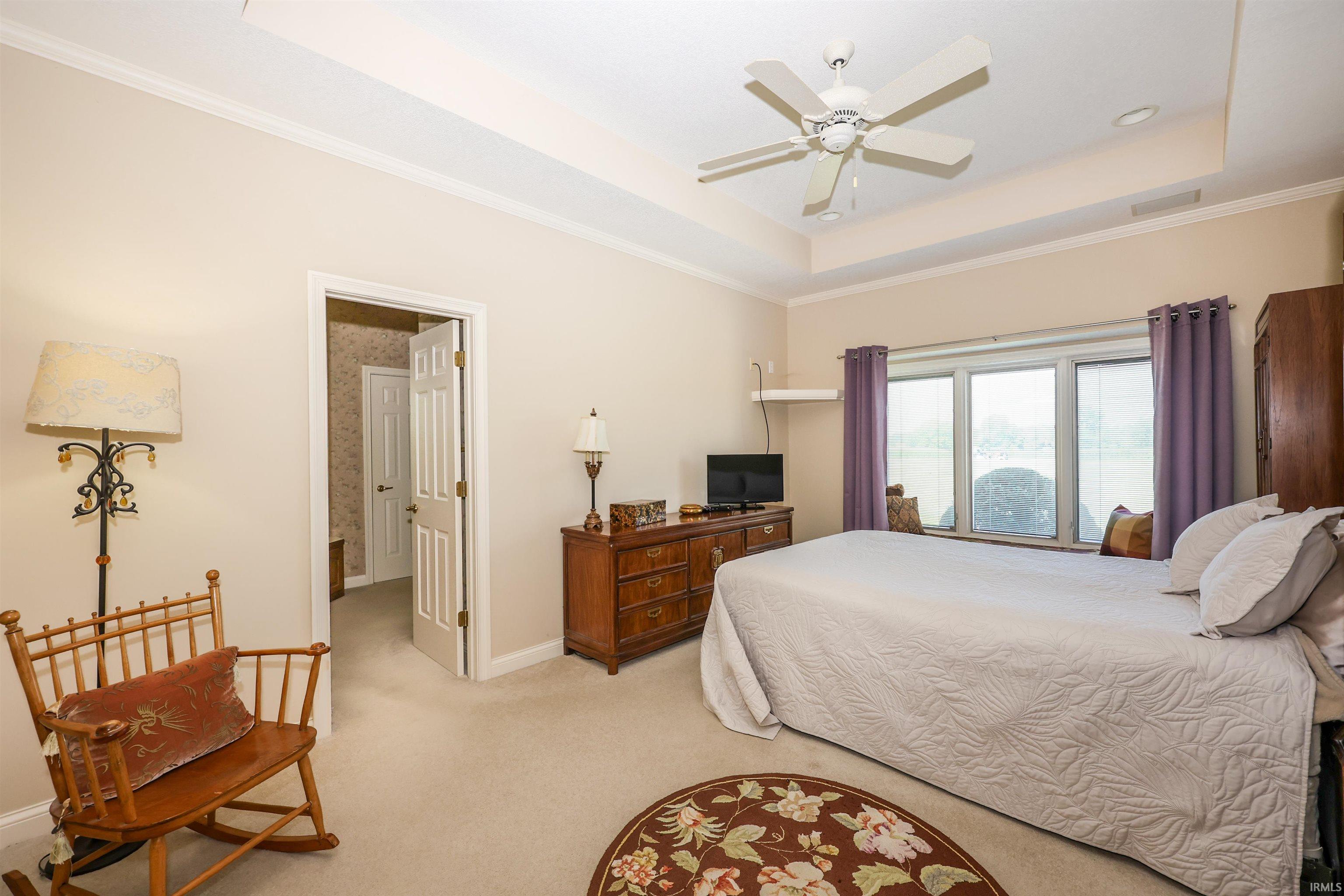Tray ceiling with crown molding, ceiling fan, and carpeted flooring