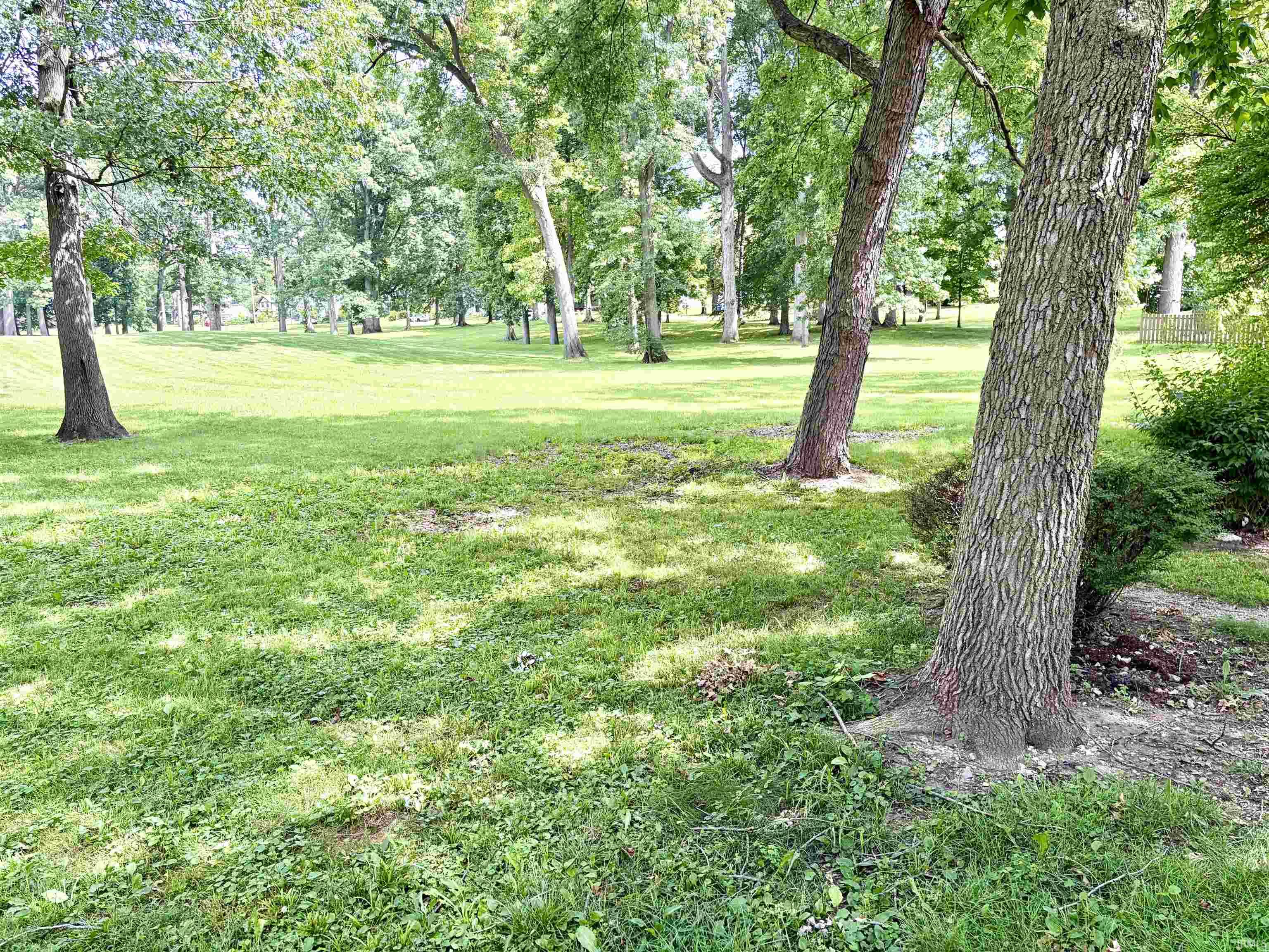 Expansive green space featuring mature trees and open grassy areas