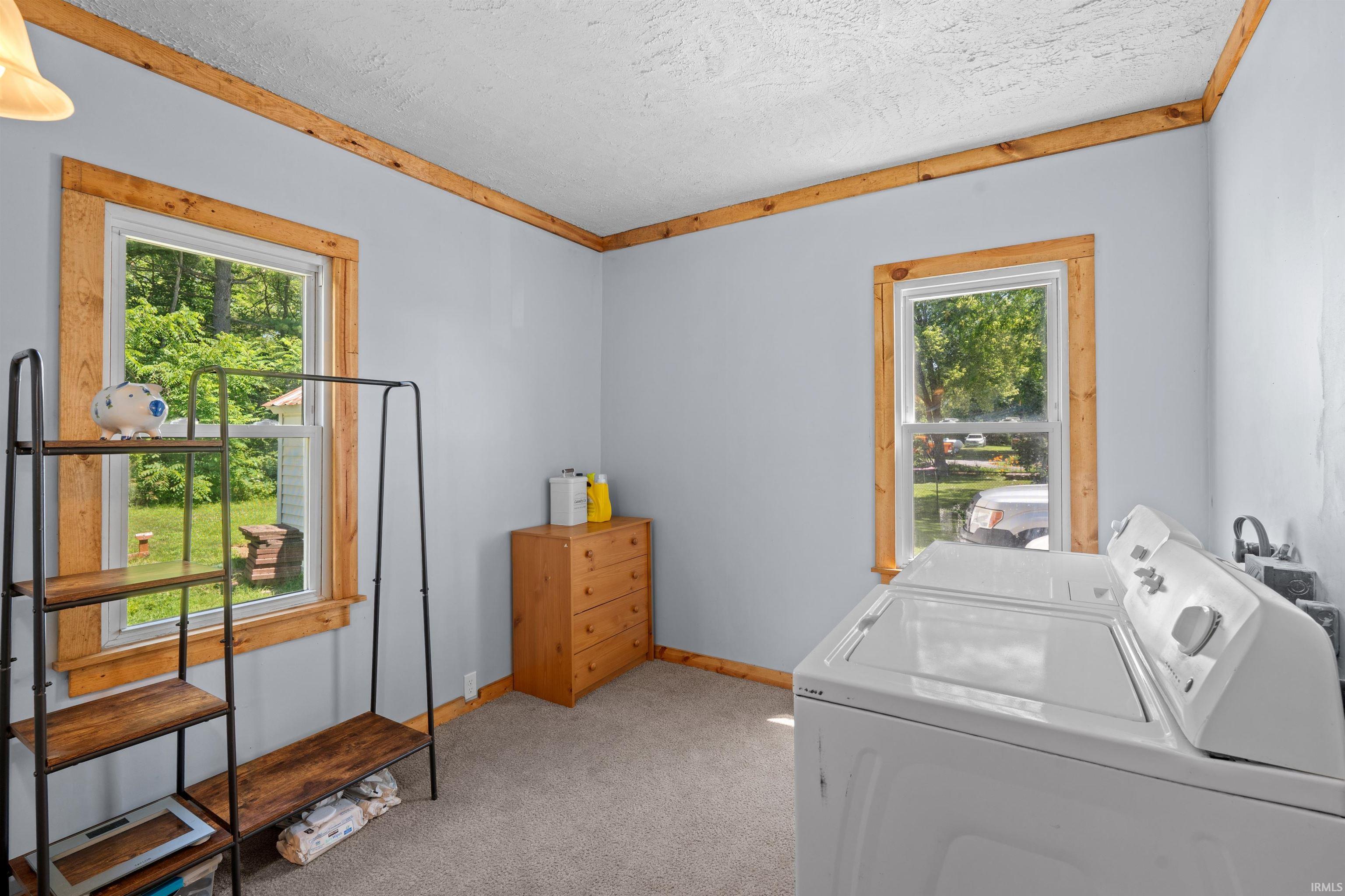 Laundry area featuring two windows, light gray wall paint, wood-finish trim, and carpeted flooring
