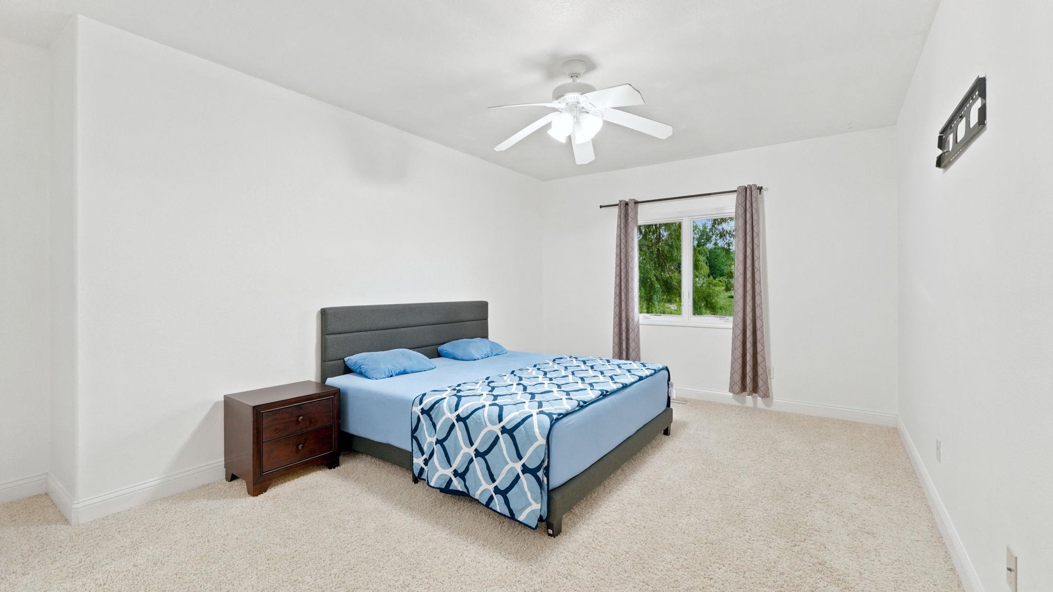 Carpeted room with a ceiling fan, white baseboards, and a window with curtains