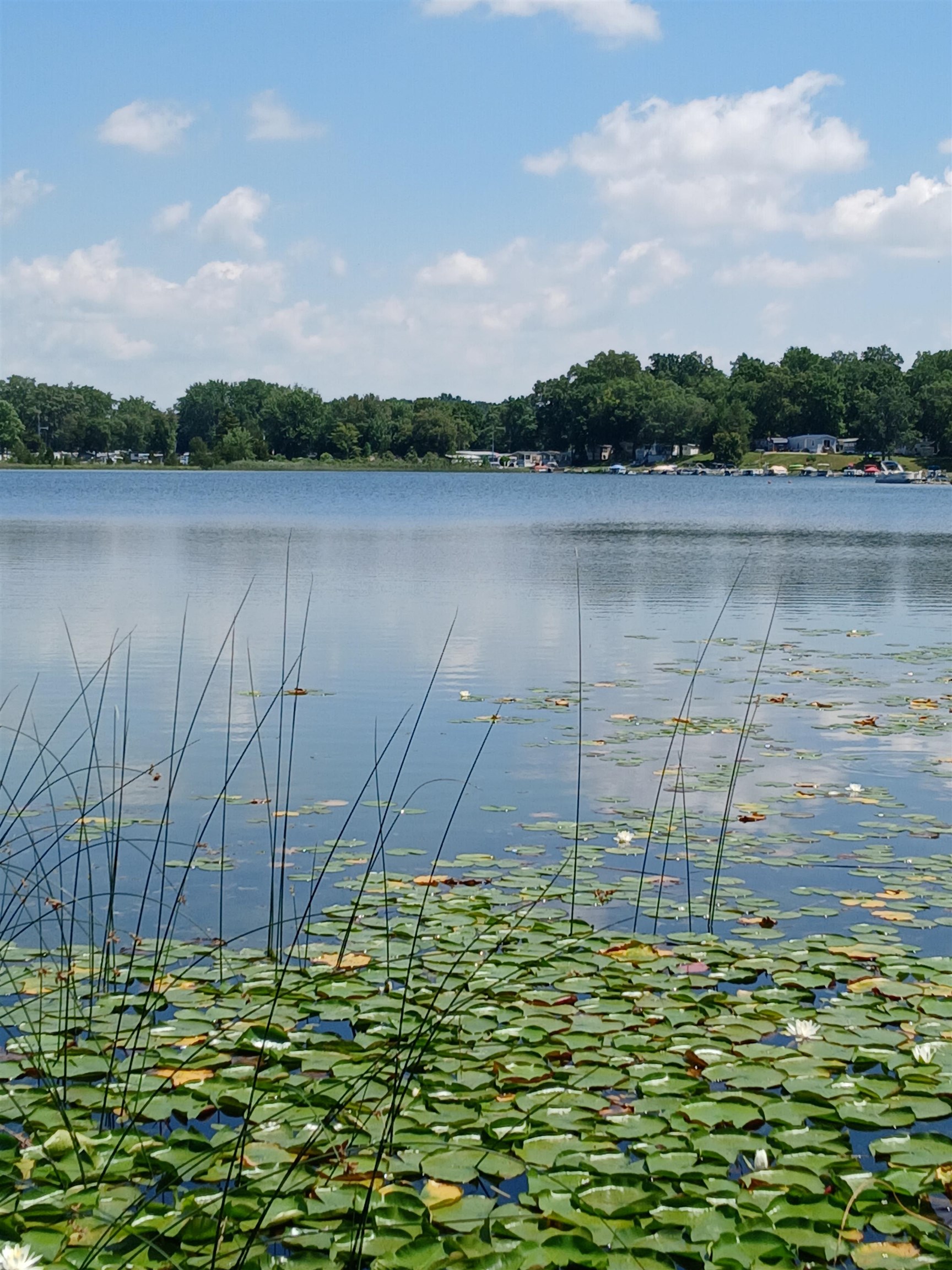 Photo 1 of 295 Ln 301 Barton Lake