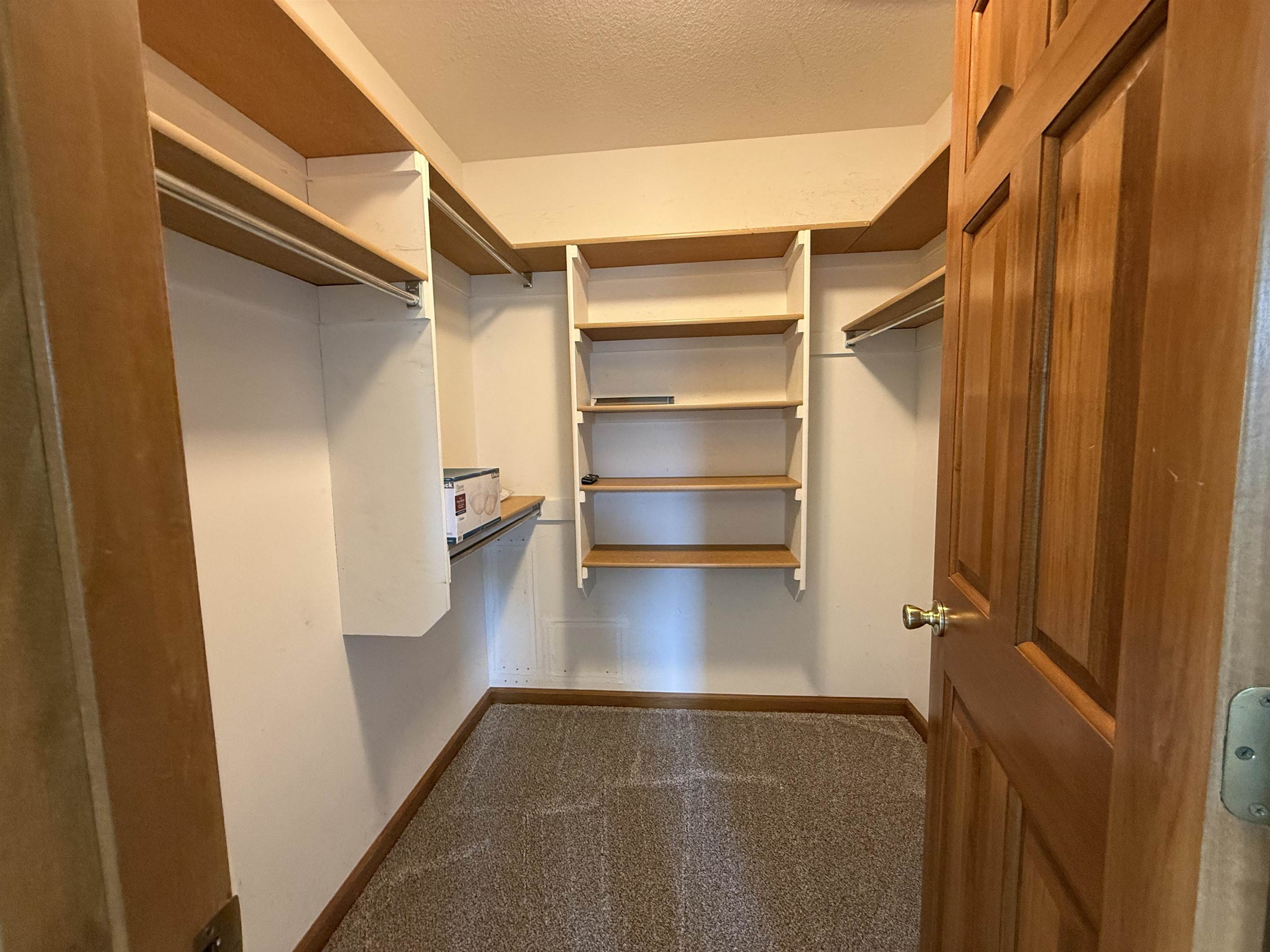 Walk-in closet featuring carpet flooring, built-in shelving, hanging rods, and a wood-finish door