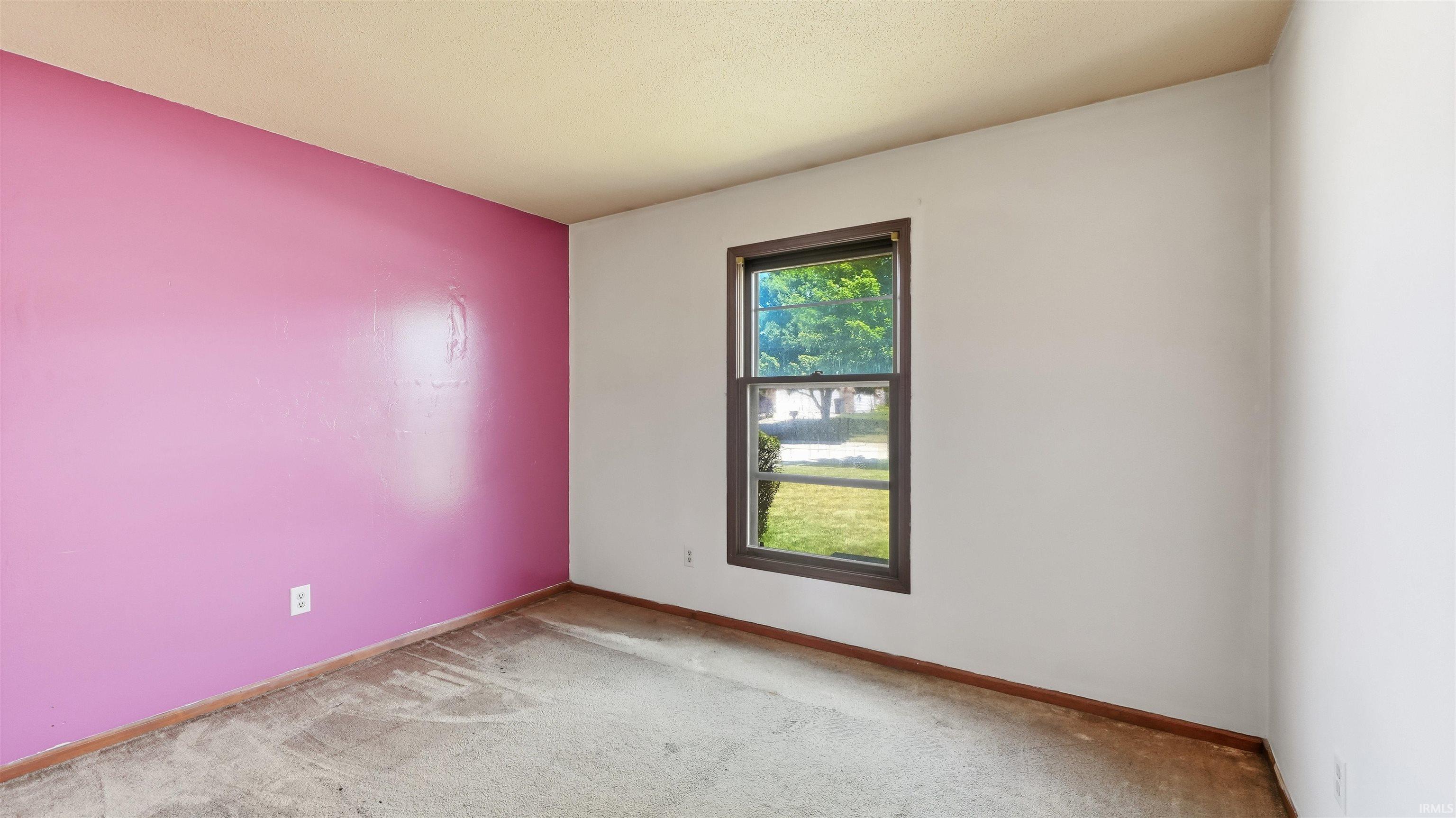 Single-pane window with dark trim