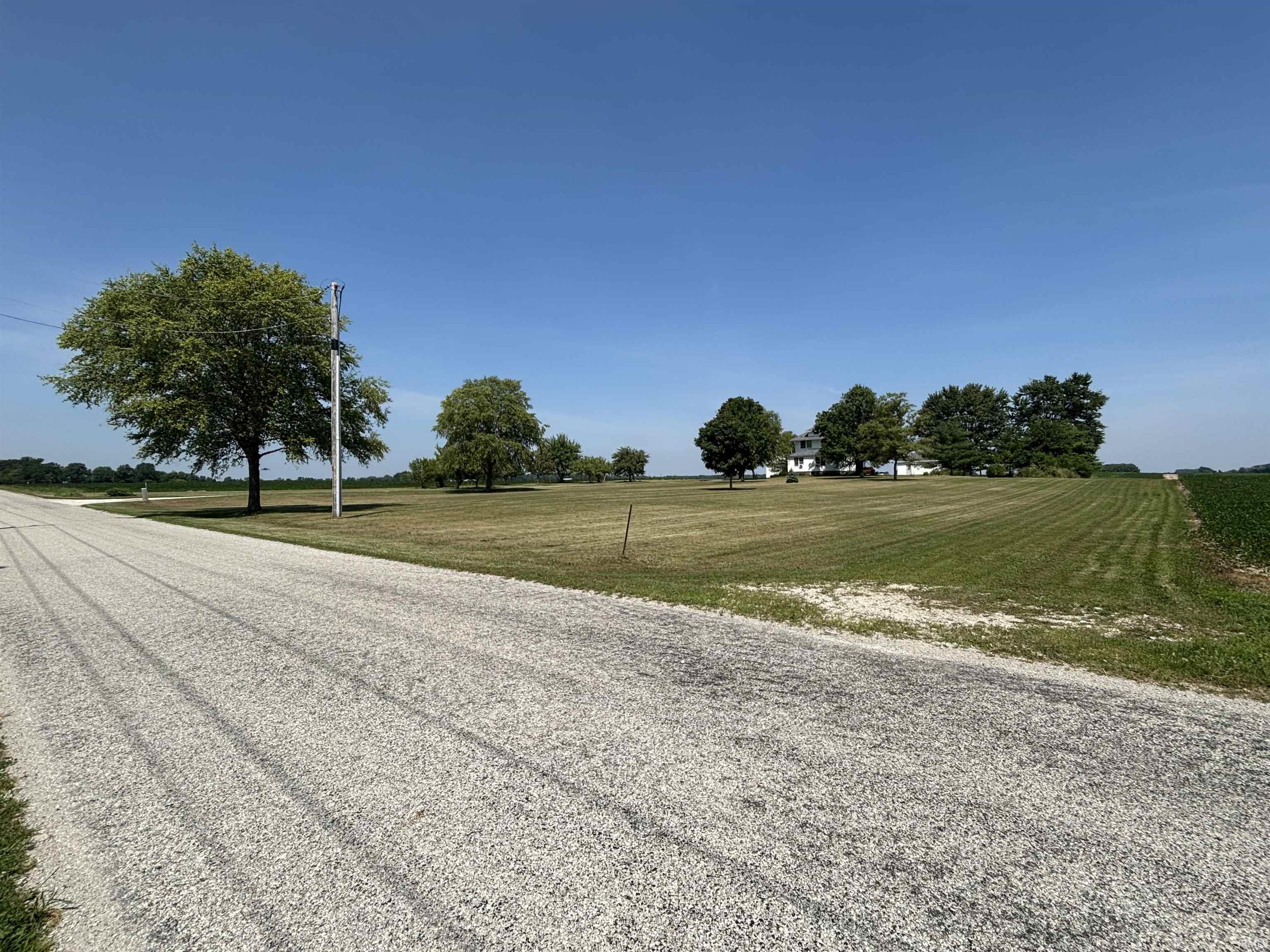 Expansive gravel driveway bordered by a large, mature tree and manicured lawn