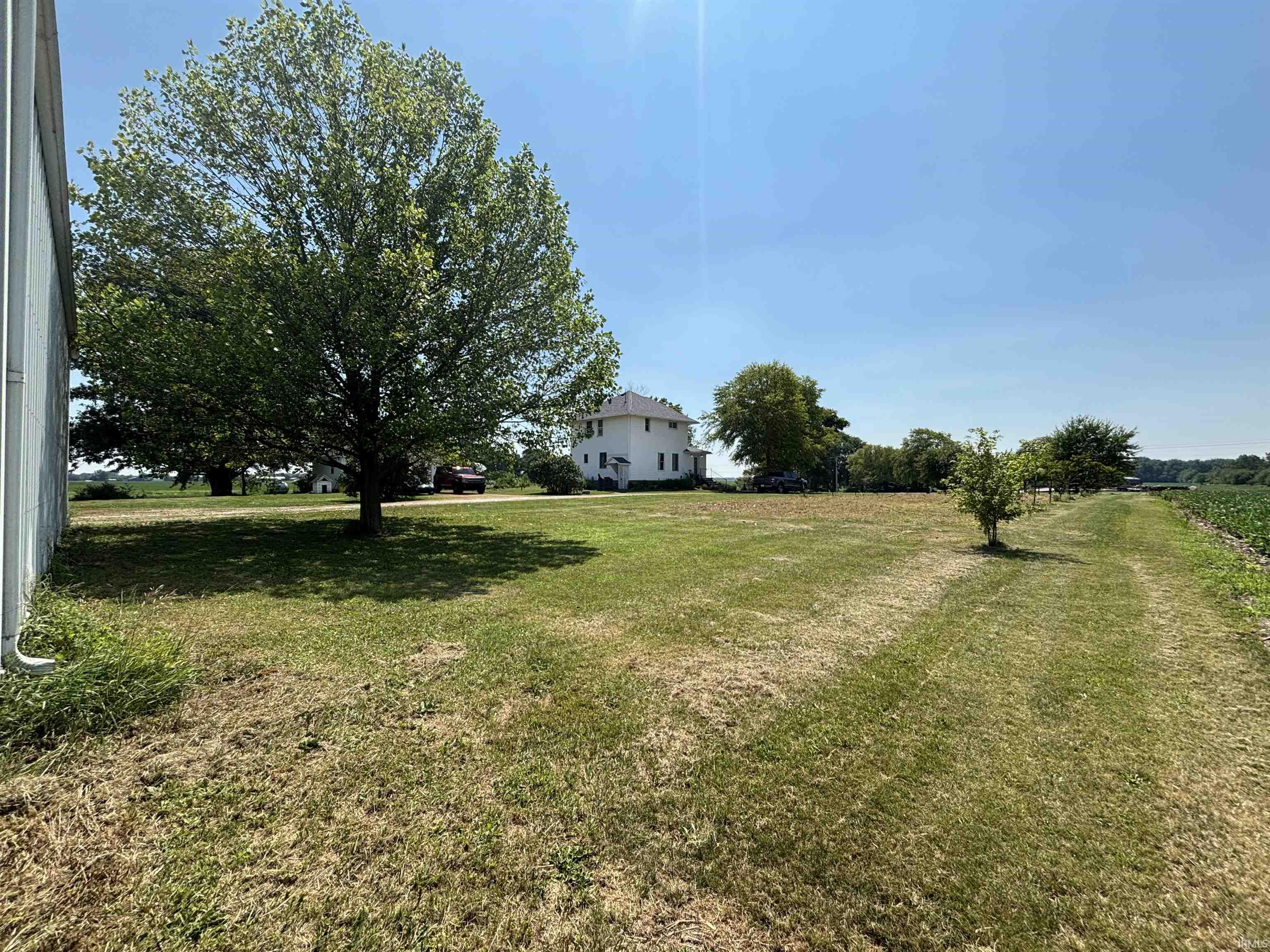 Expansive open lot with mature trees and a distant white residential structure