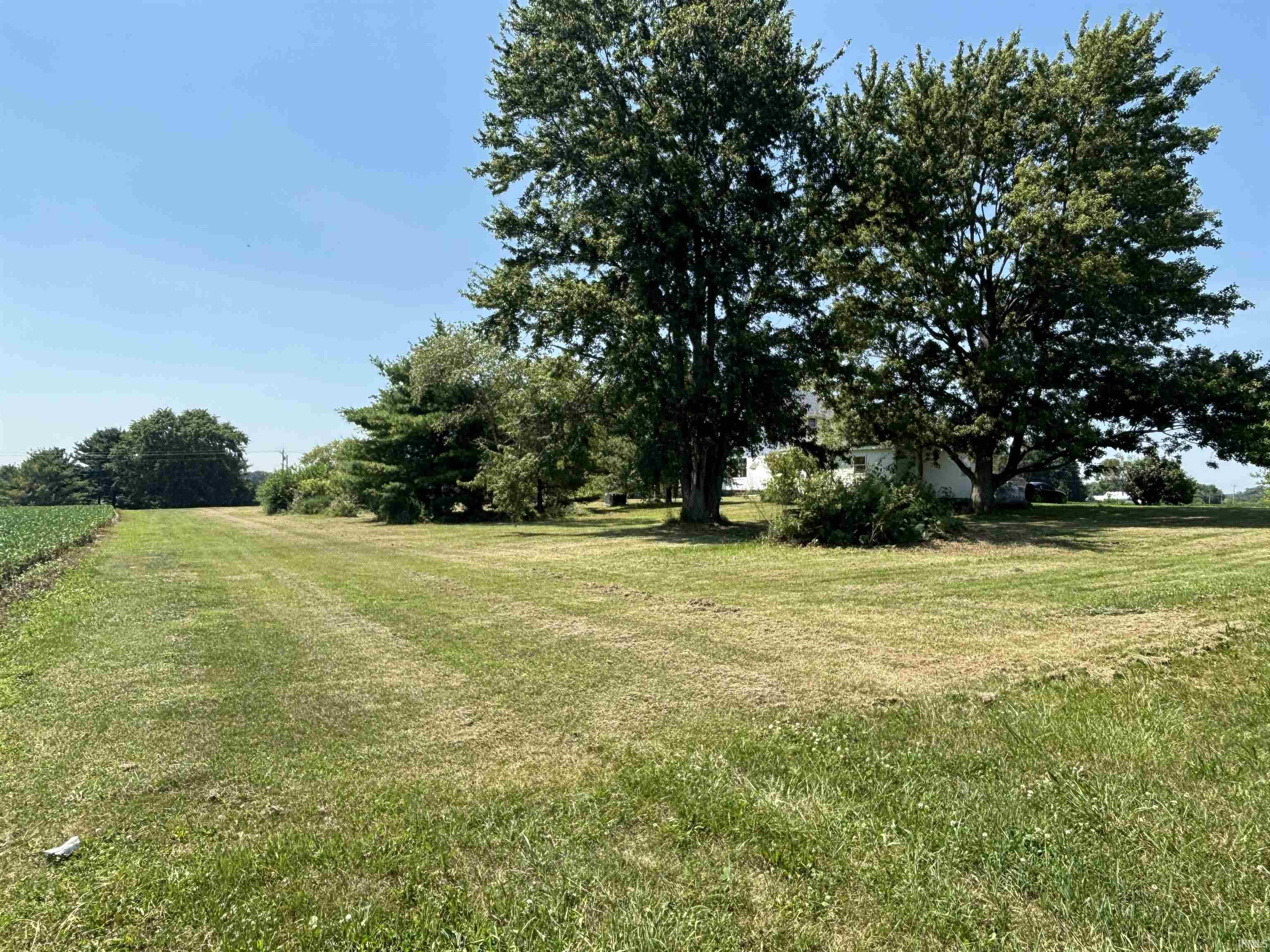 Expansive grassy grounds with mature trees and perimeter foliage
