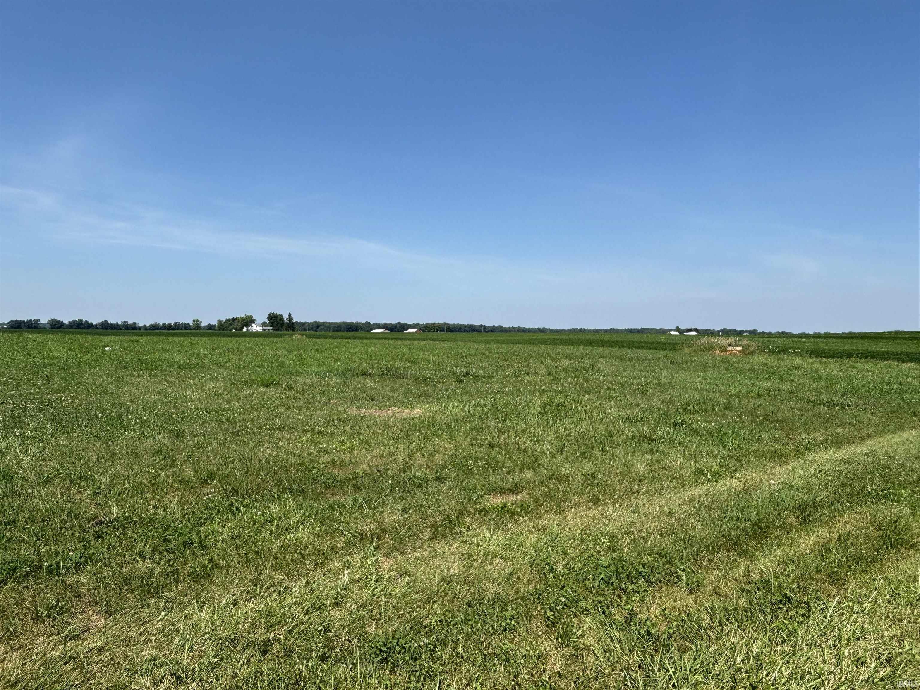 Expansive agricultural land featuring a clear blue sky and distant farm structures