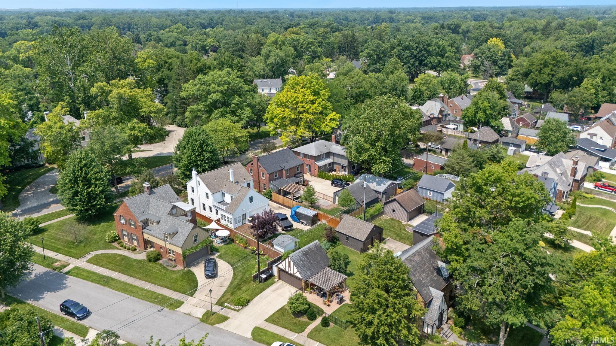 Aerial perspective of a tree-lined neighborhood