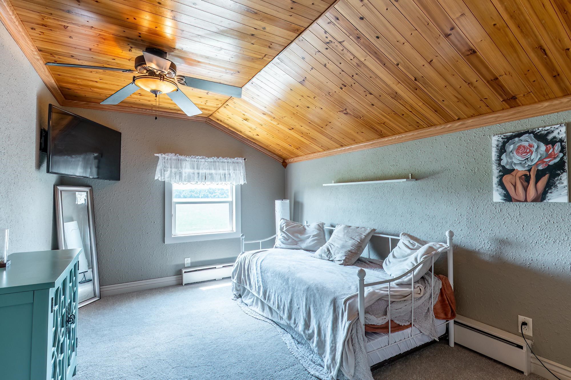 Vaulted wood-paneled ceiling with a central ceiling fan