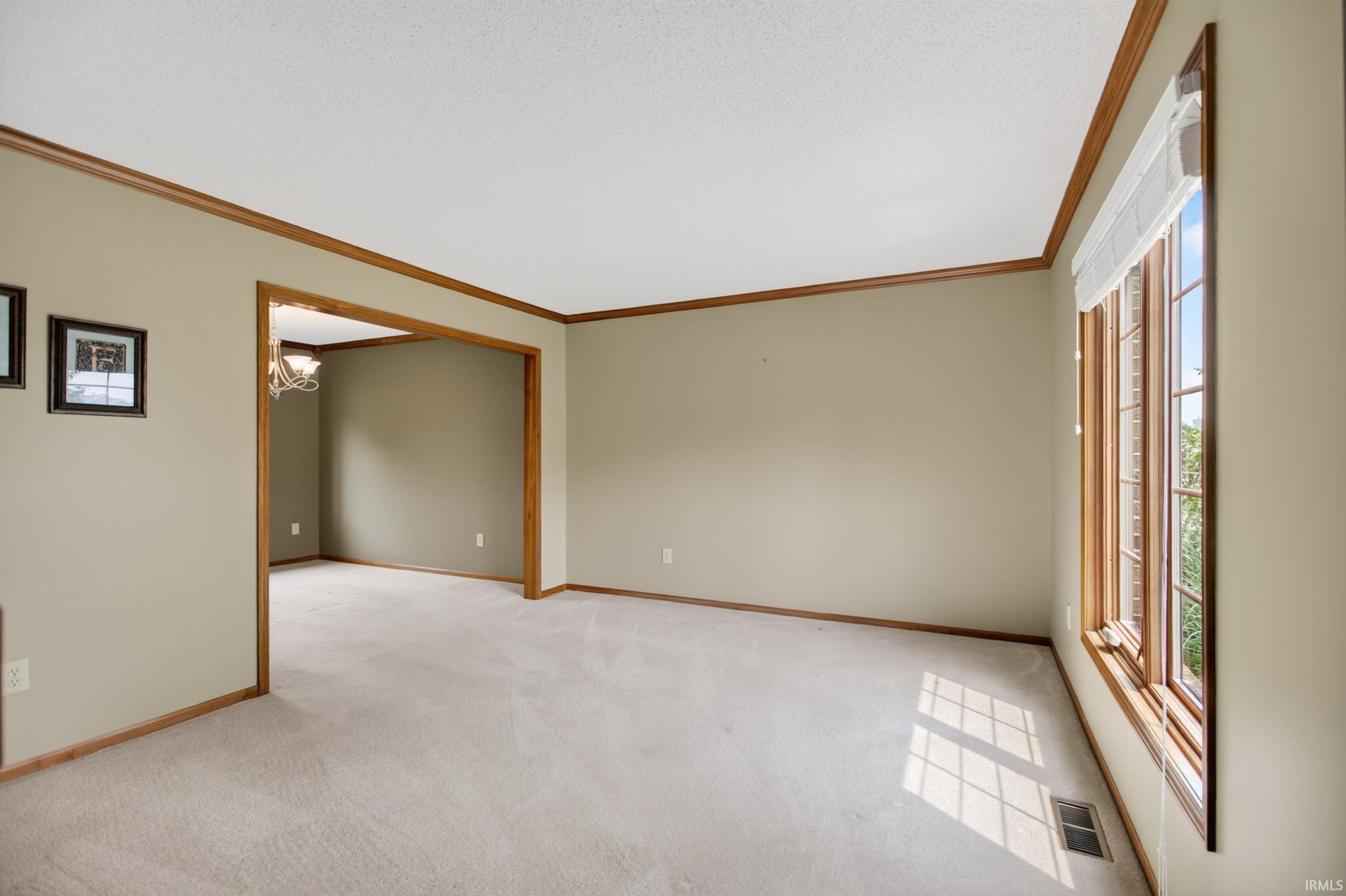 Expansive room featuring light-toned carpeting, neutral wall paint, and natural wood trim