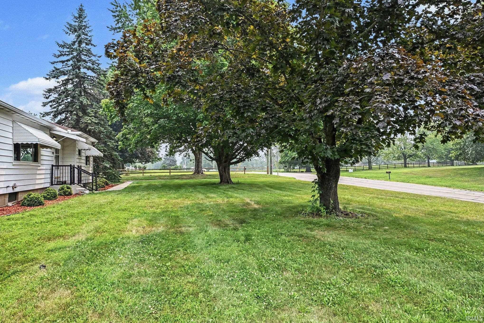 Spacious green lawn with mature trees and a paved driveway