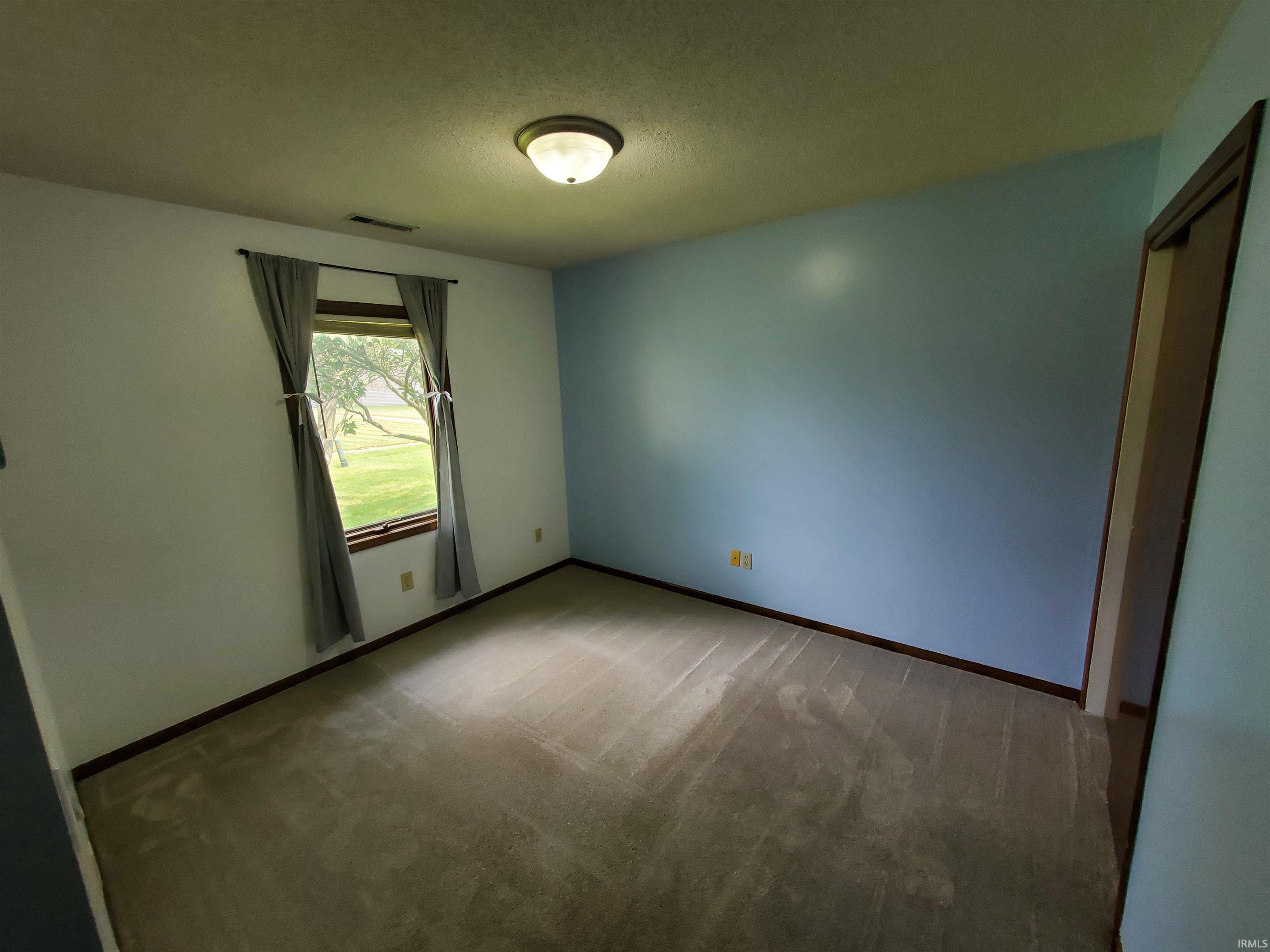 Carpeted room featuring a window with an exterior landscape, a ceiling-mounted light fixture, and contrasting wall colors